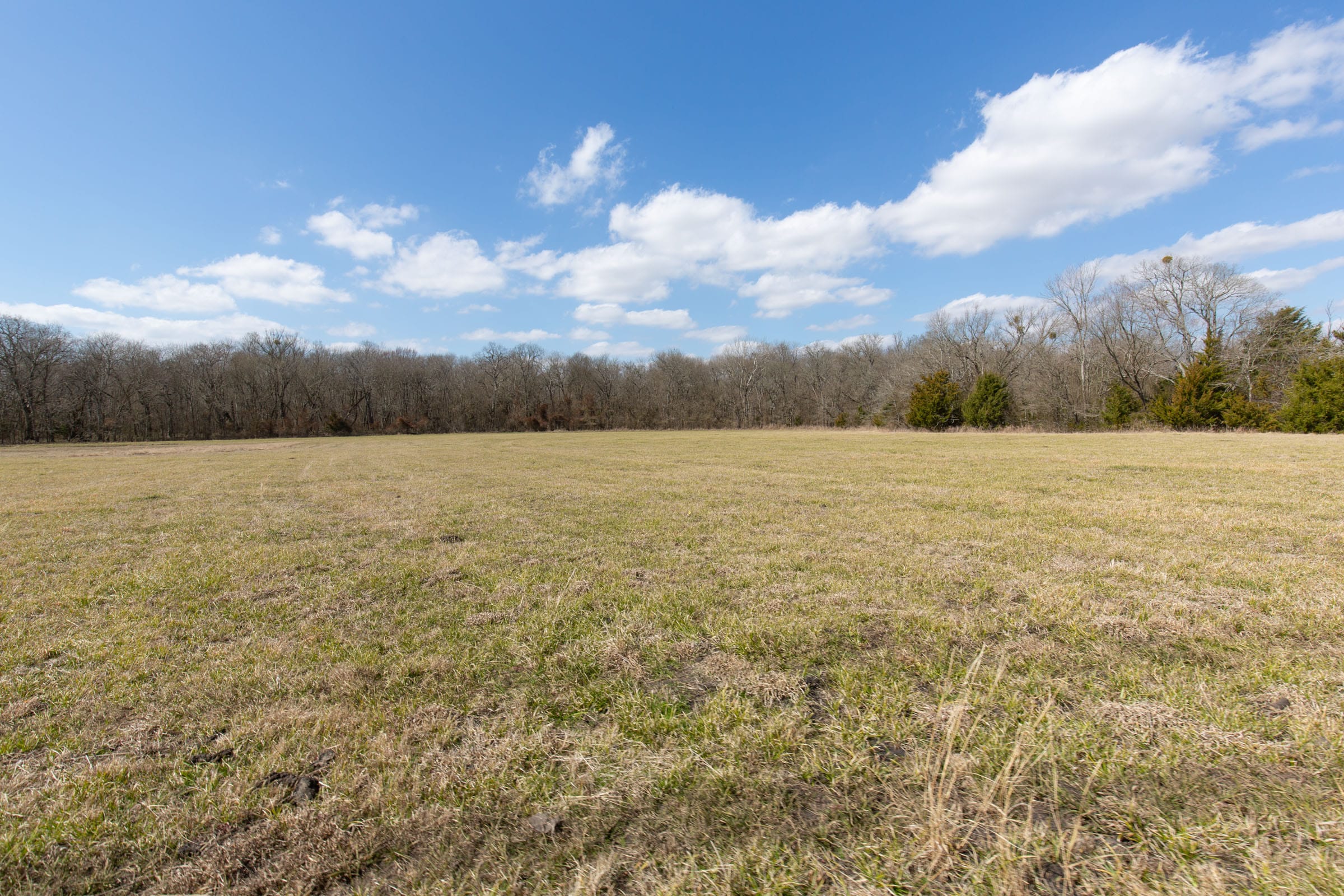 Wishing Star Ranch Tract 87 photo 2