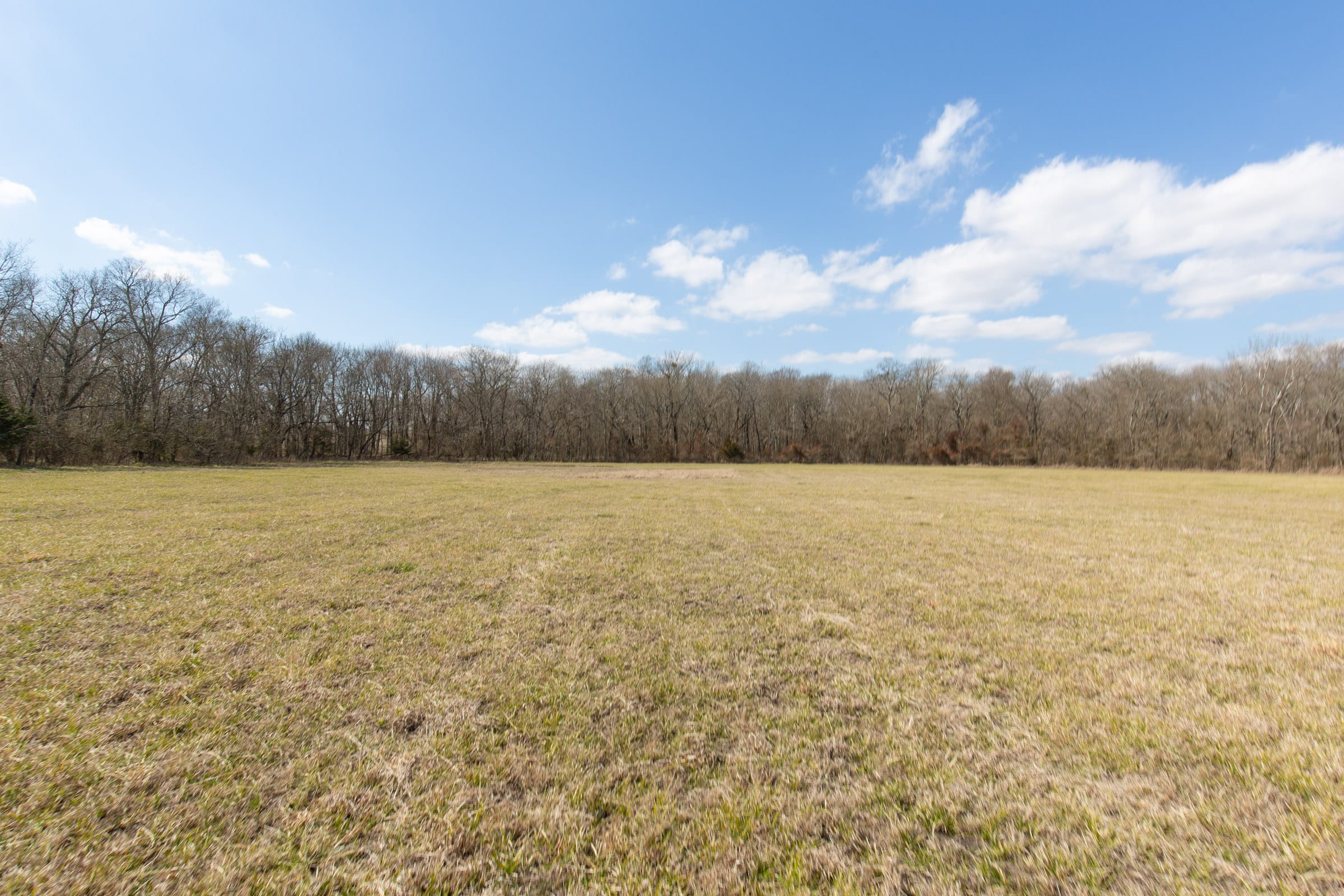 Wishing Star Ranch Tract 87 photo 3