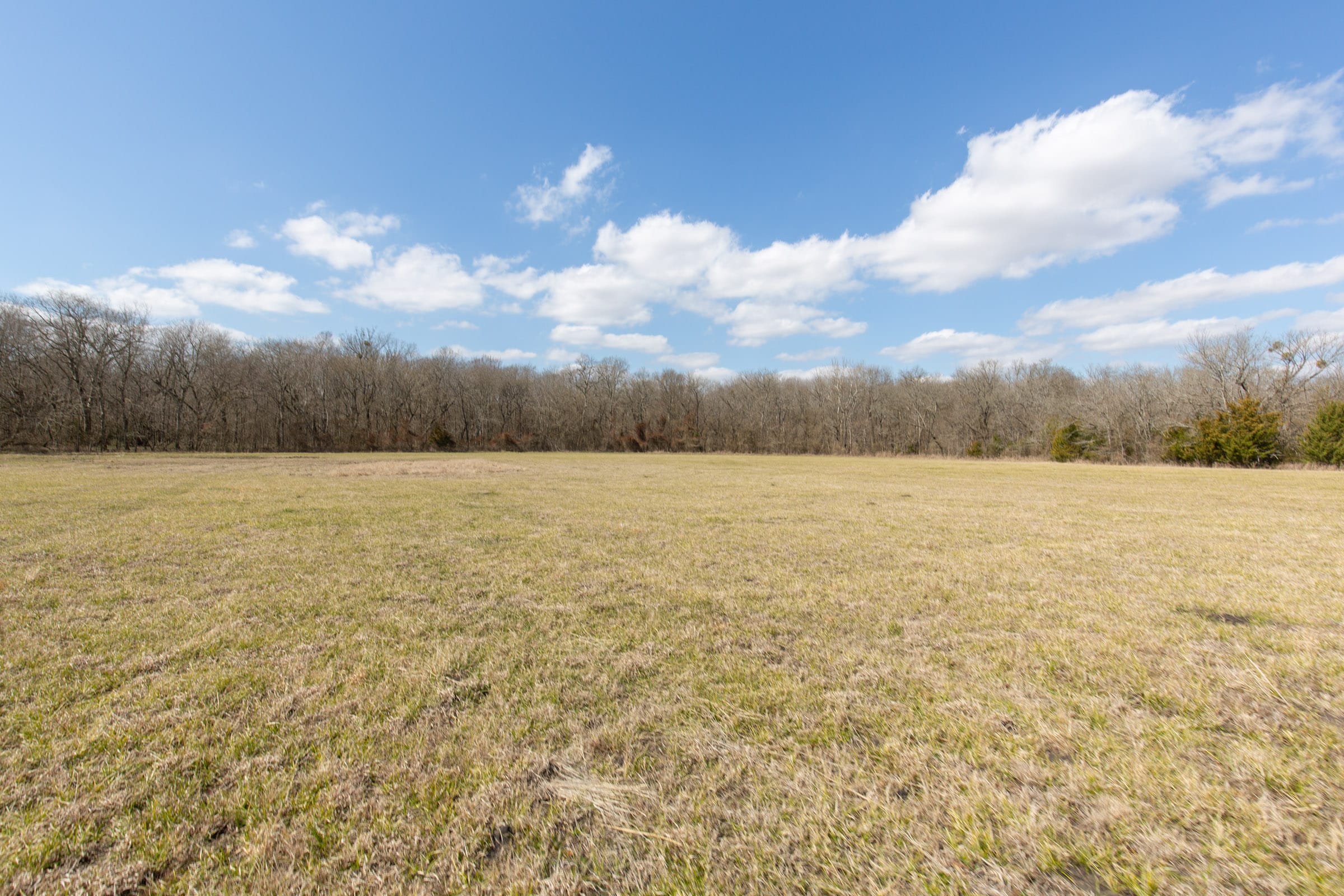 Wishing Star Ranch Tract 87 photo 4