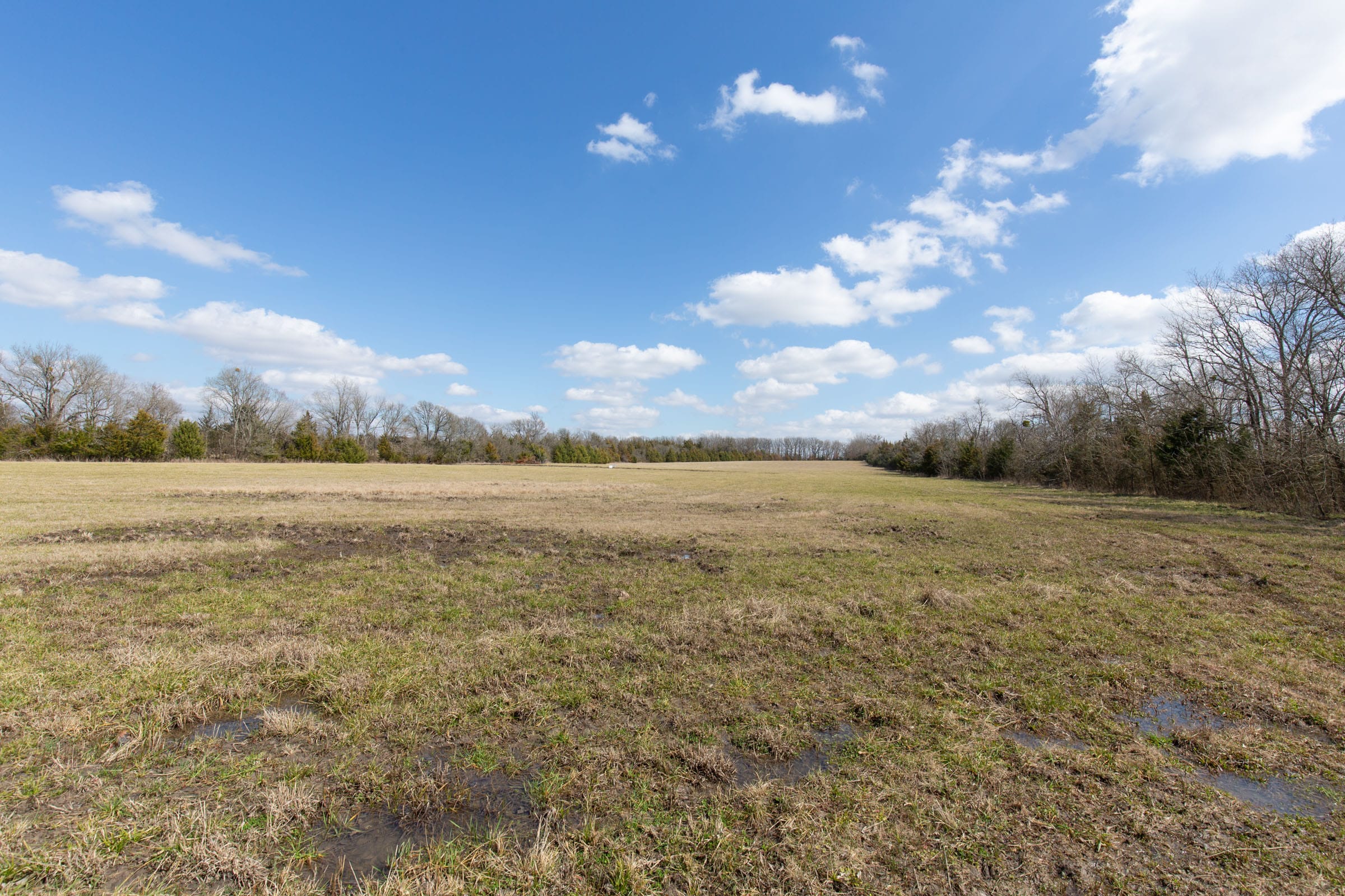Wishing Star Ranch Tract 87 photo 5