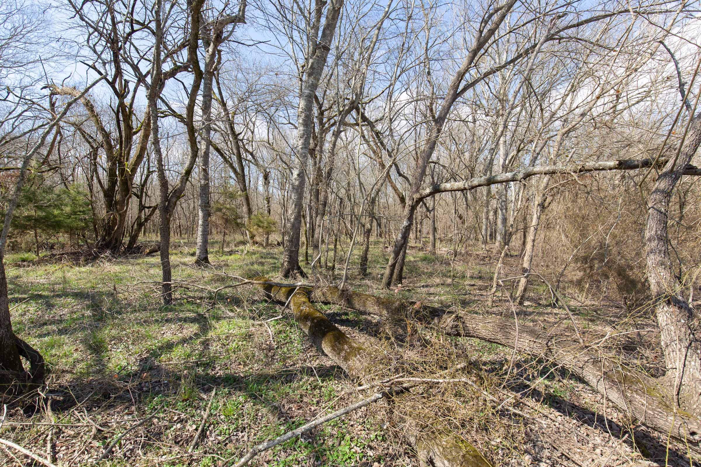 Wishing Star Ranch Tract 87 photo 6