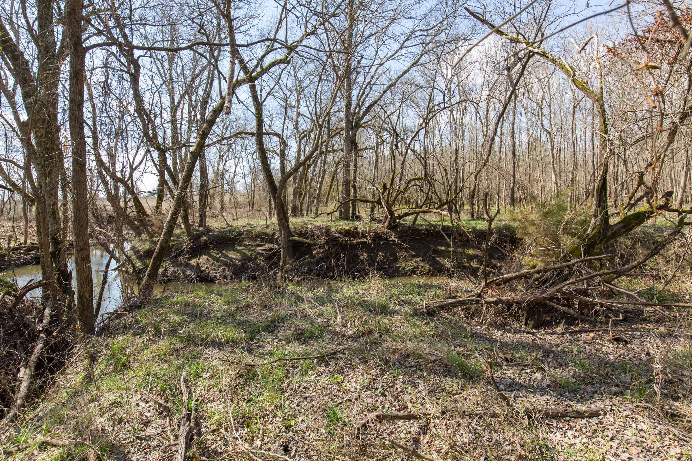 Wishing Star Ranch Tract 87 photo 9