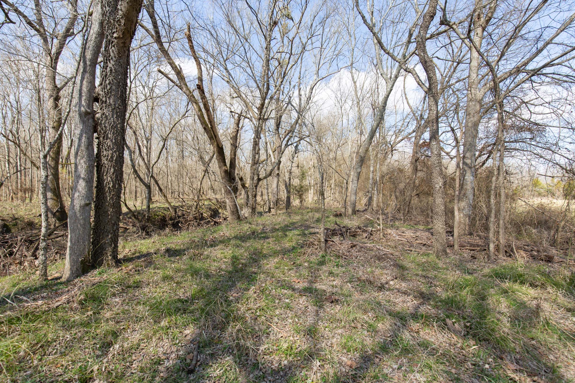 Wishing Star Ranch Tract 87 photo 10