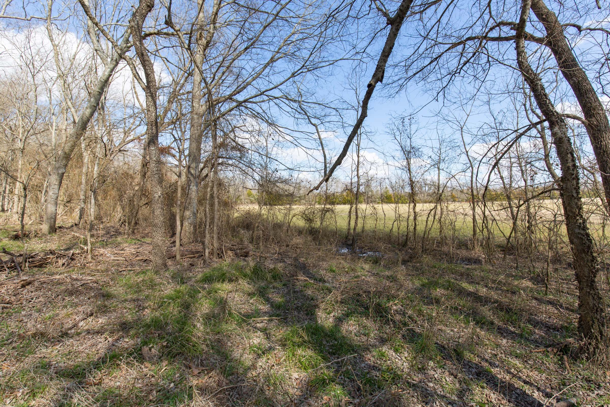 Wishing Star Ranch Tract 87 photo 11