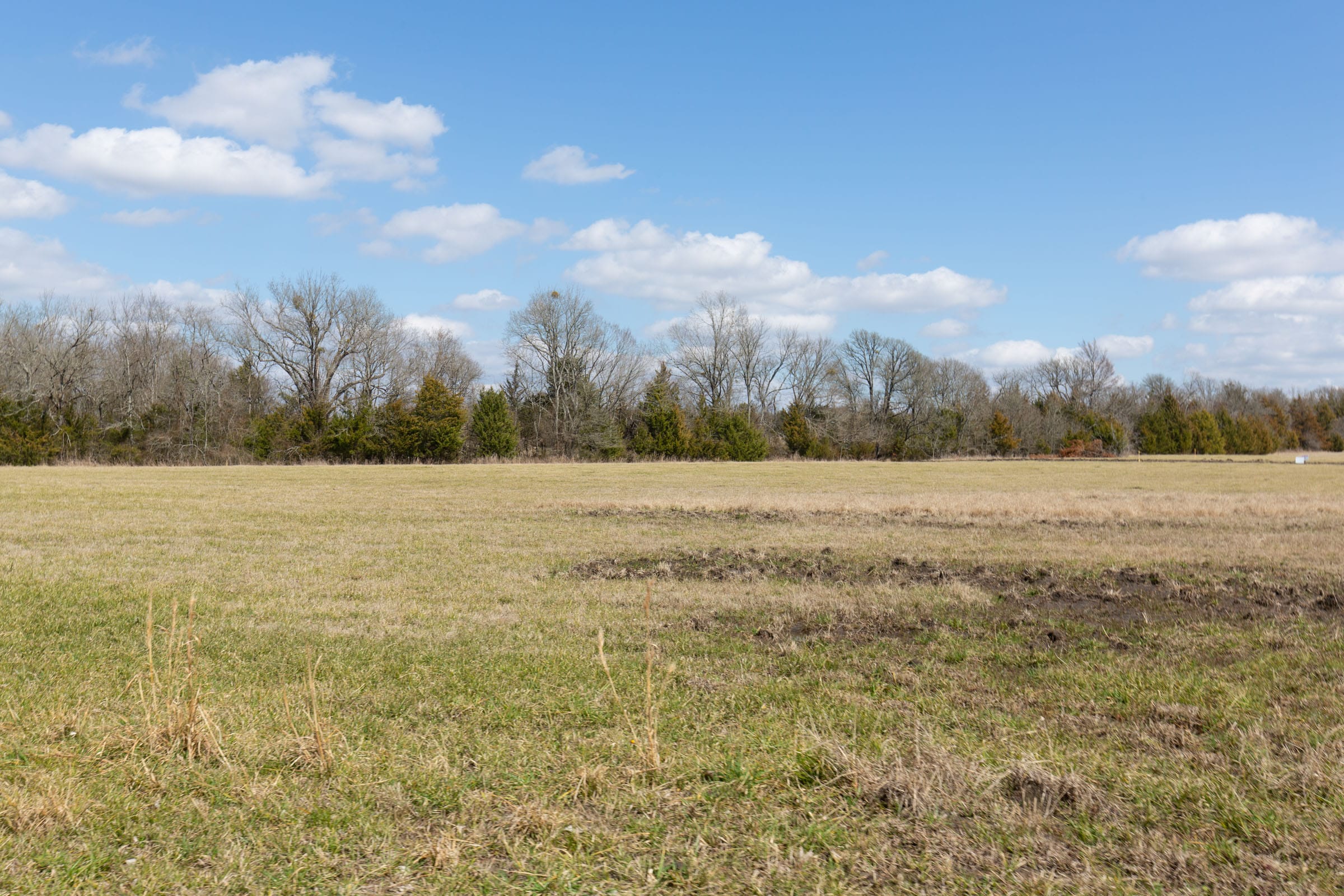 Wishing Star Ranch Tract 87 photo 15