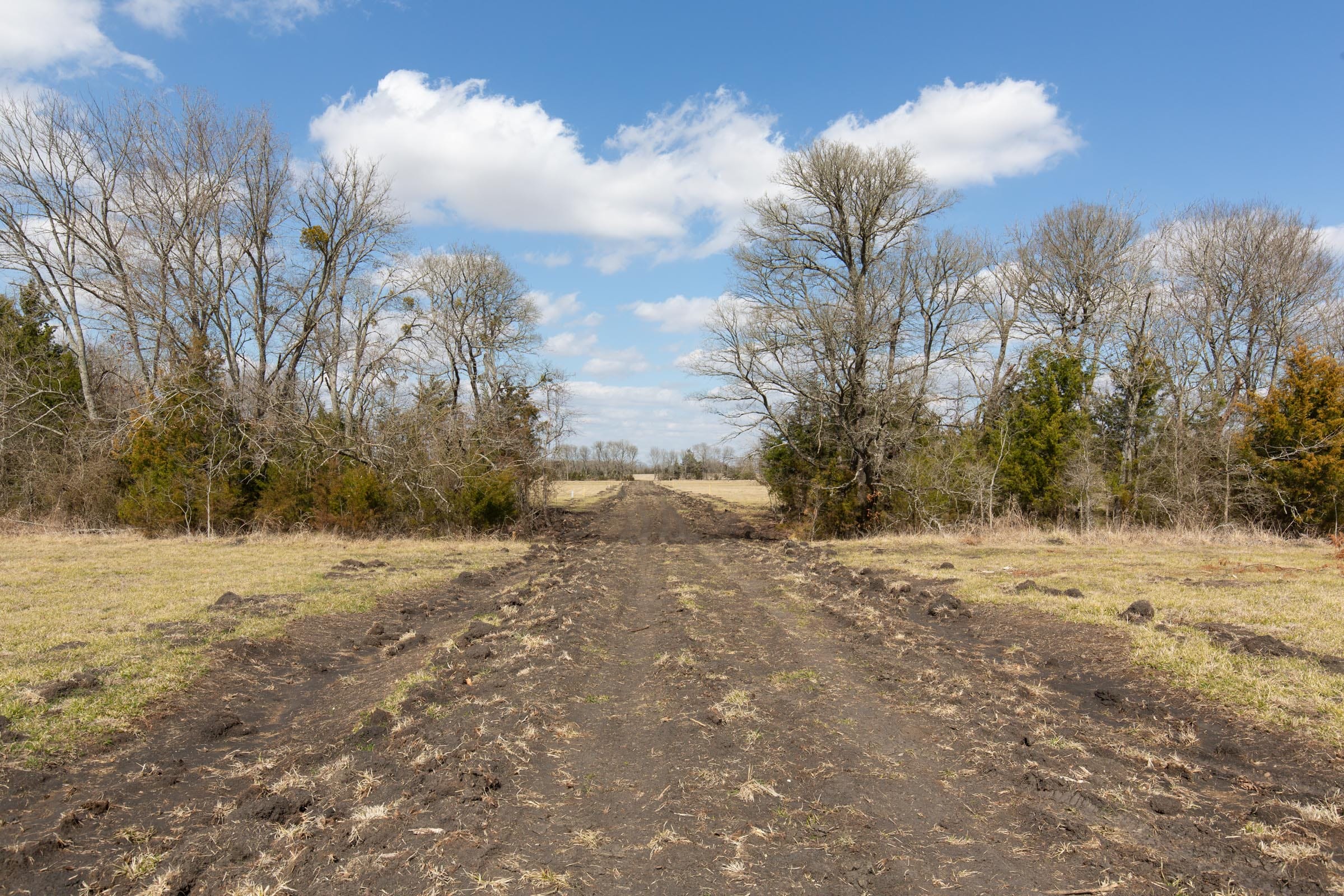 Wishing Star Ranch Tract 87 photo 1