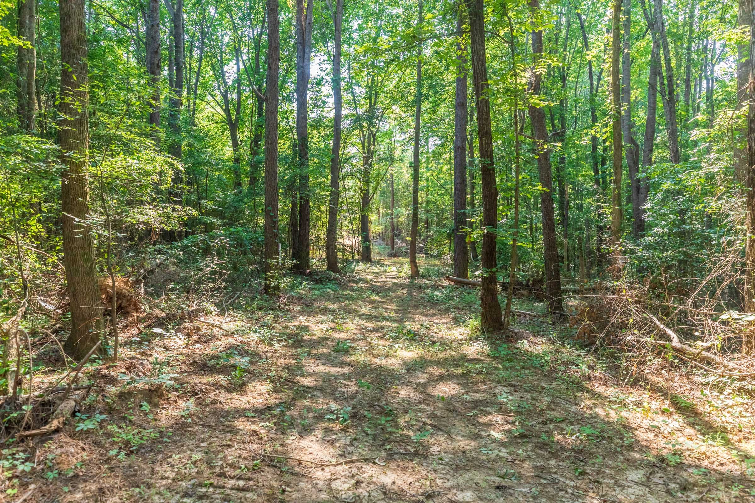 Whiskey Ridge Tract 108 photo 1