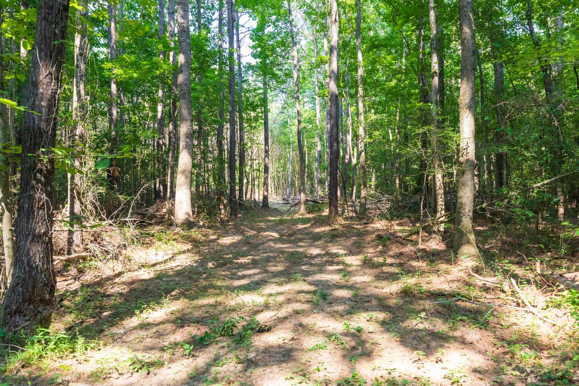 Whiskey Ridge Tract 108 photo 3