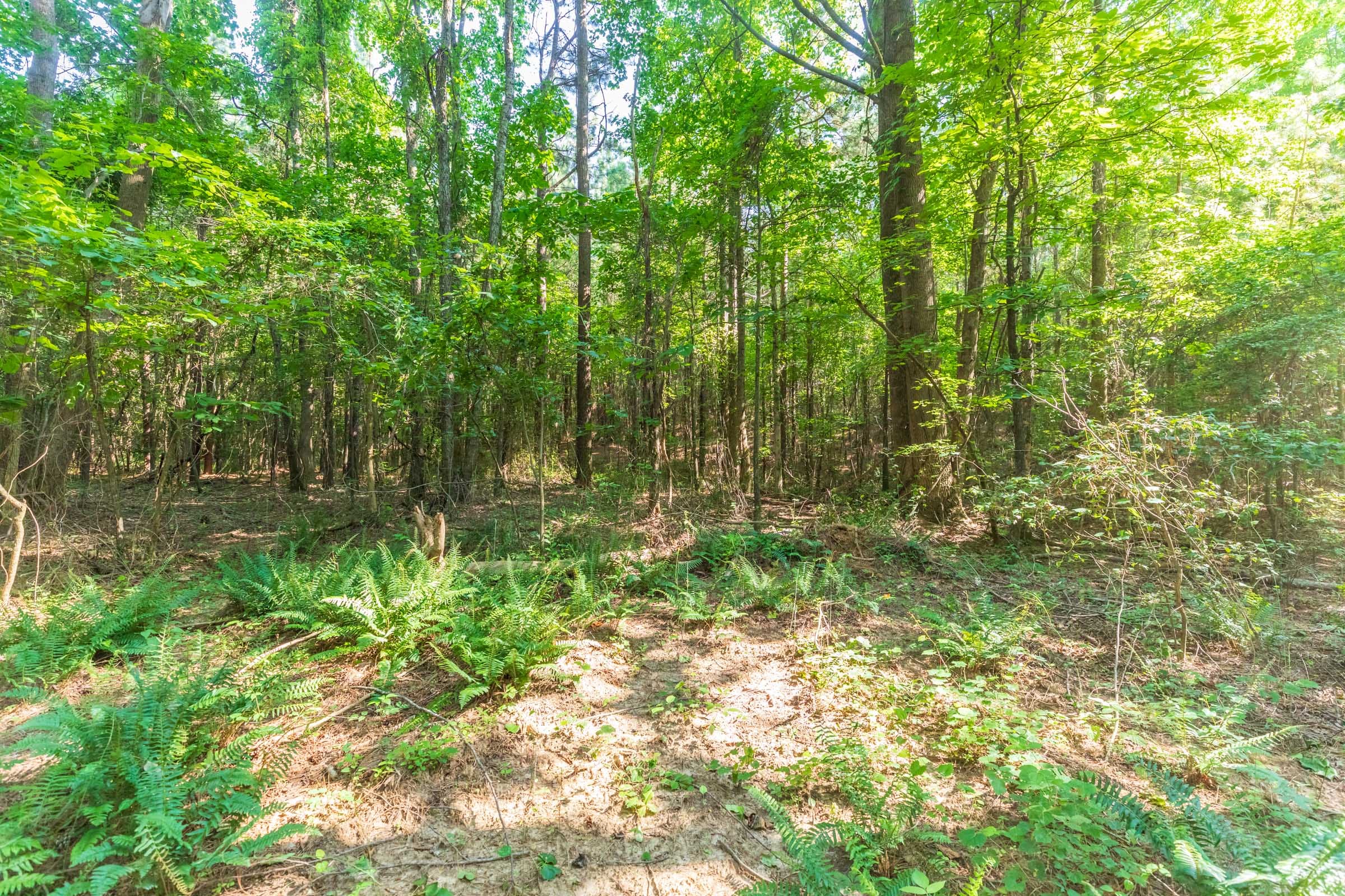 Whiskey Ridge Tract 108 photo 5