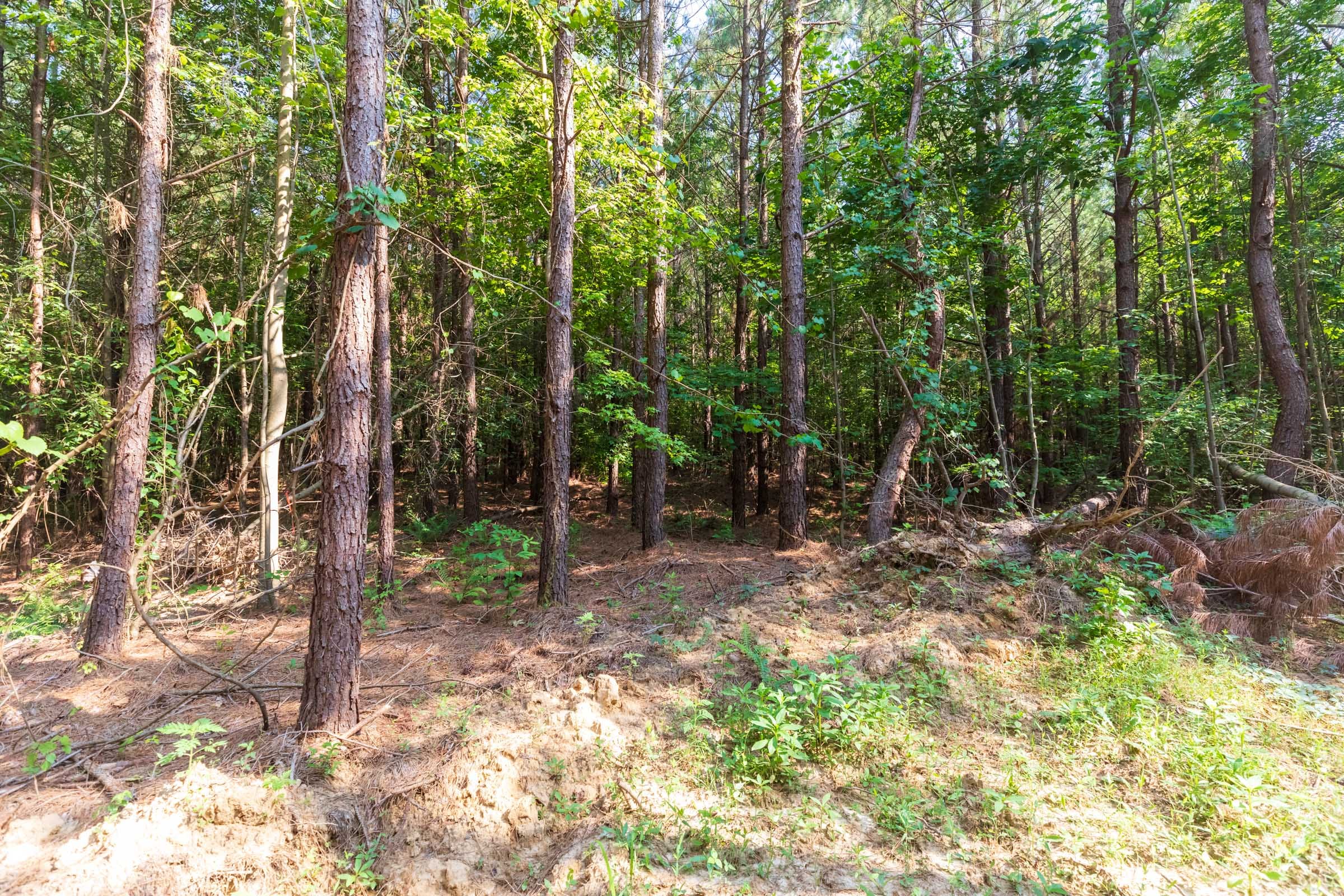 Whiskey Ridge Tract 108 photo 7