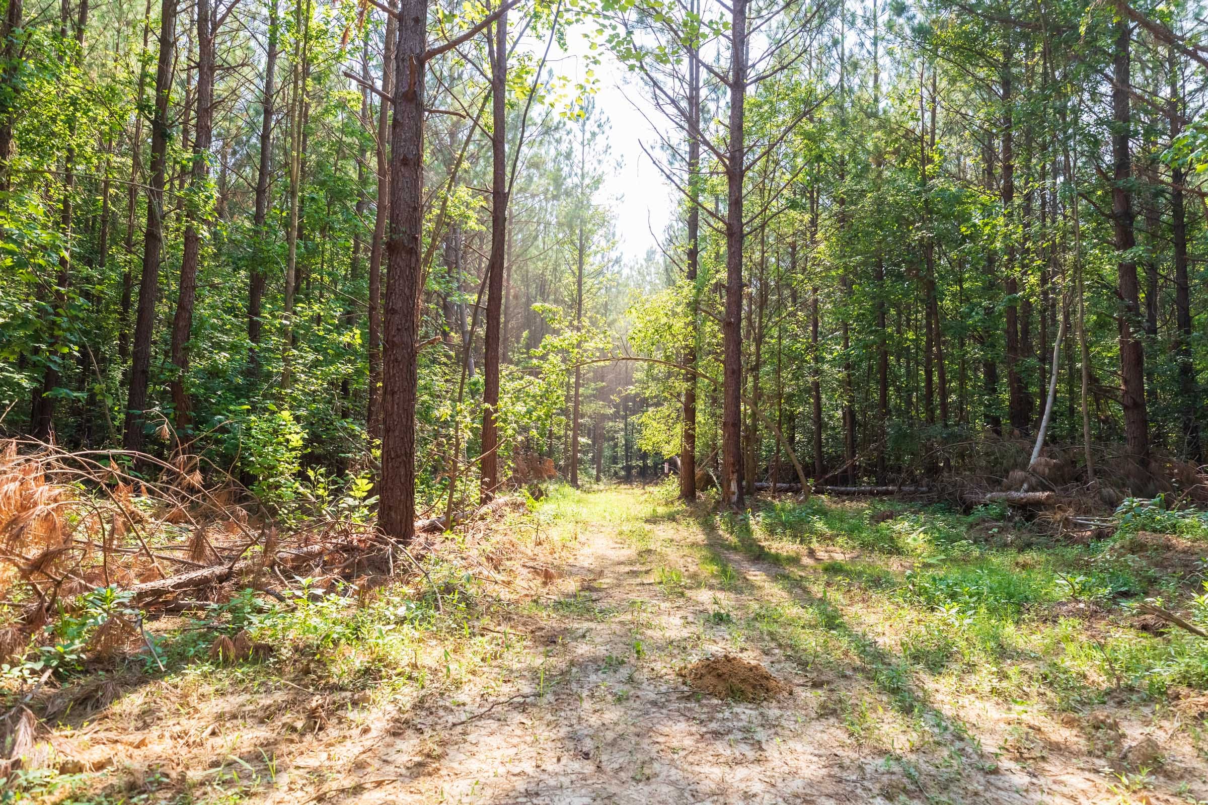 Whiskey Ridge Tract 108 photo 8