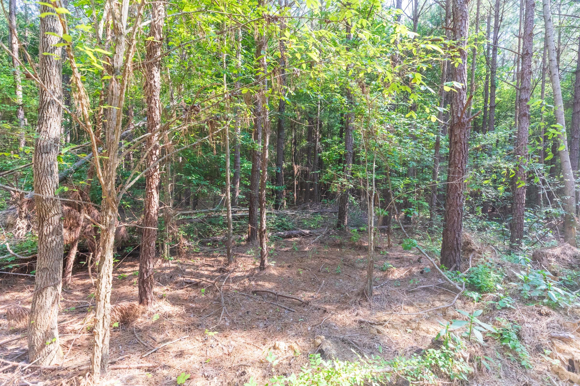 Whiskey Ridge Tract 108 photo 9