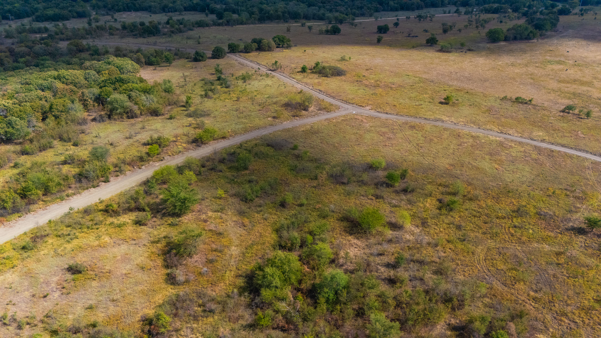 Gracyn Meadows Tract 11 photo 3