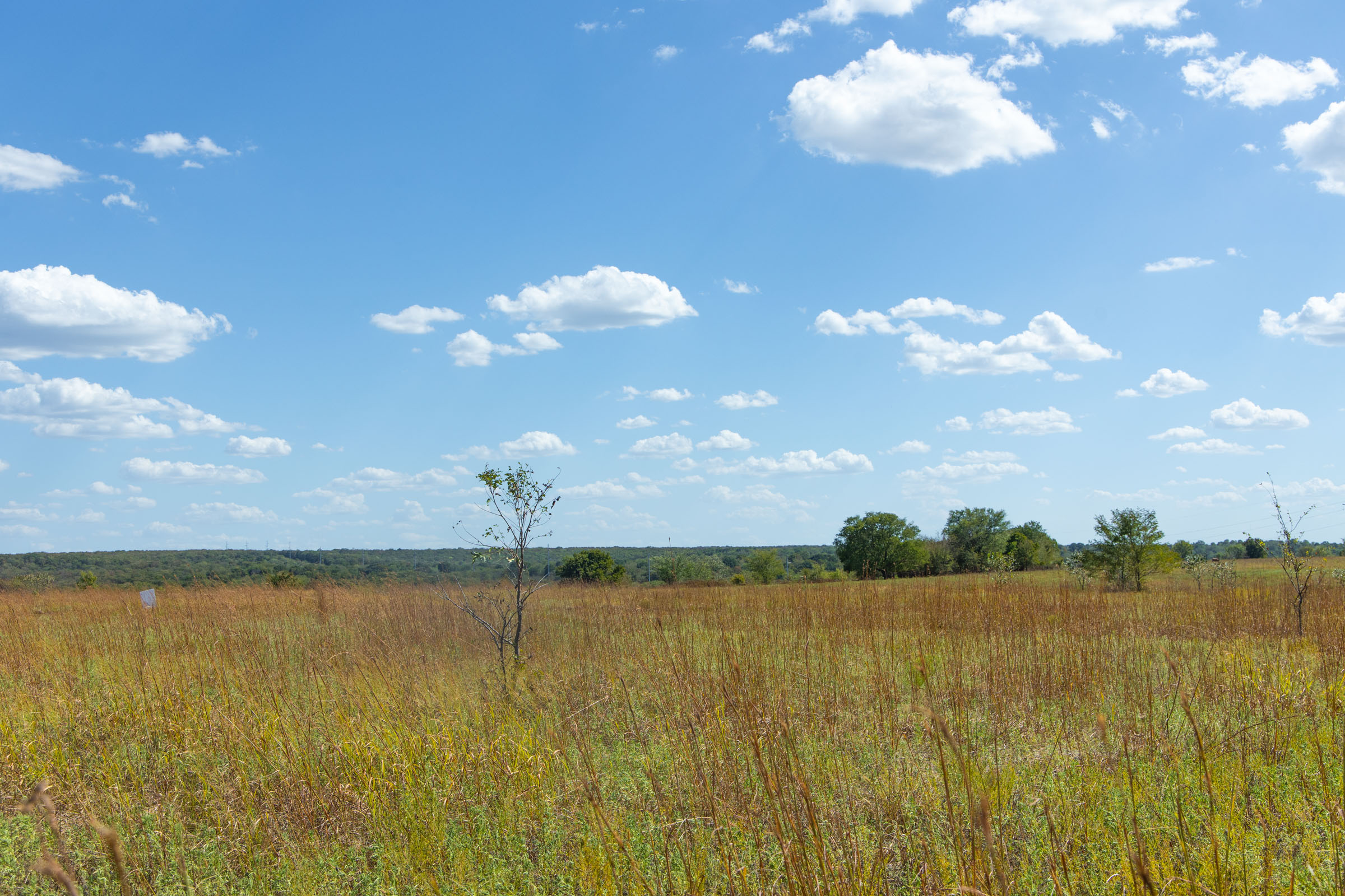 Gracyn Meadows Tract 11 photo 9