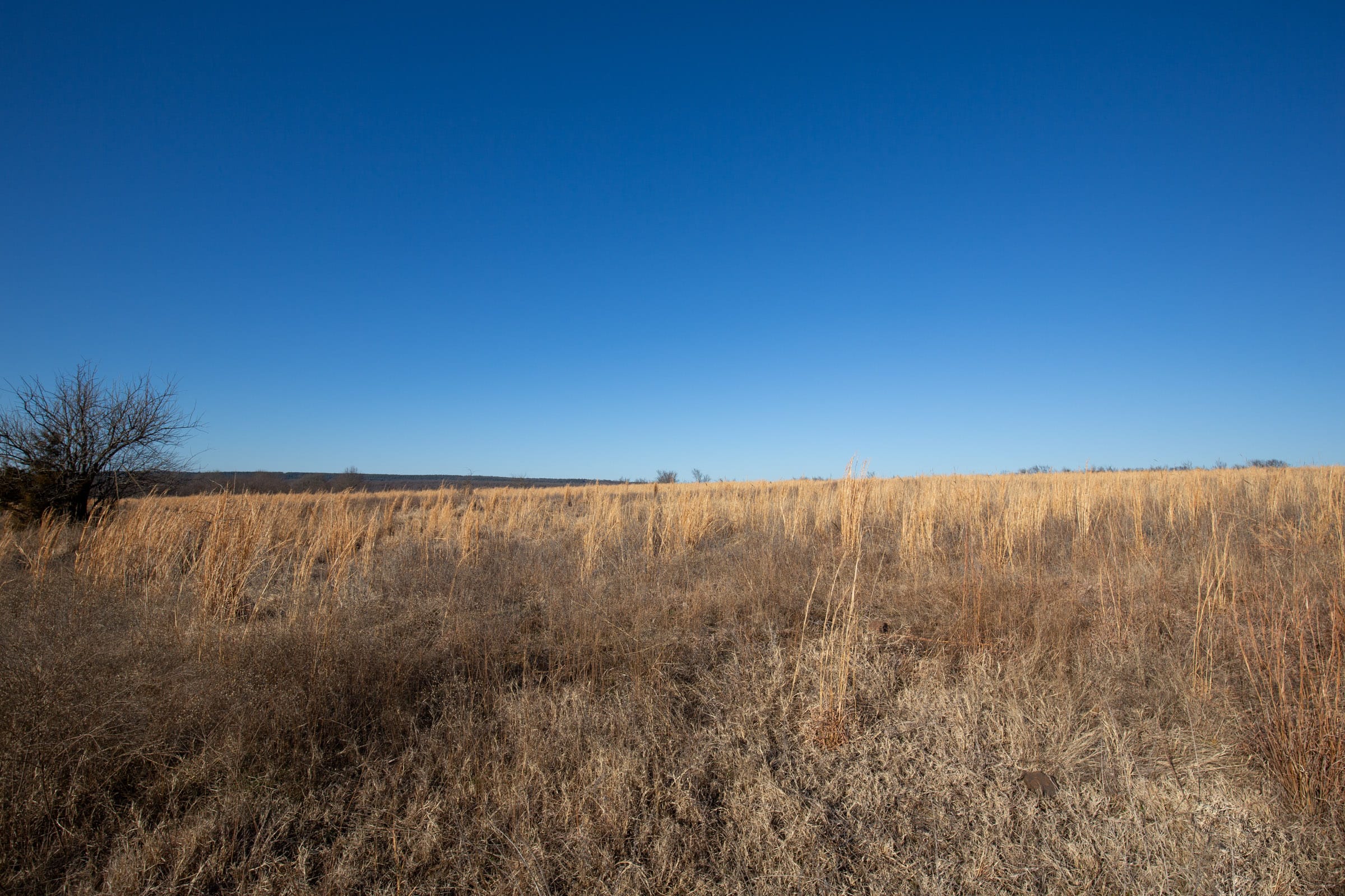 Painted Horse Tract 50 photo 2
