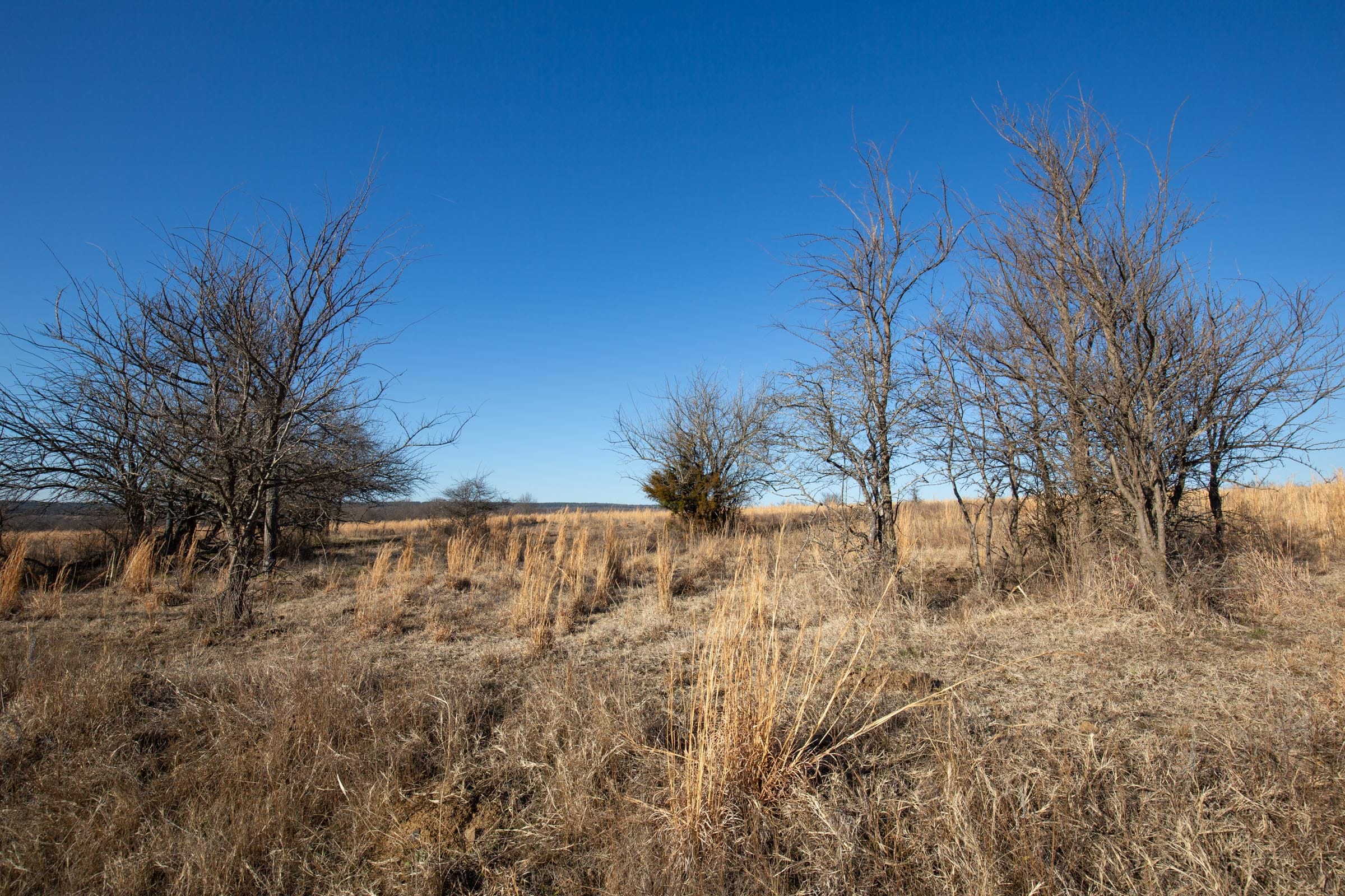 Painted Horse Tract 50 photo 3
