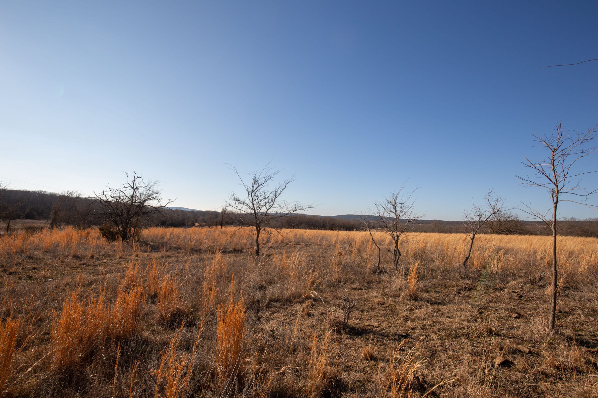 Painted Horse Tract 50 photo 7