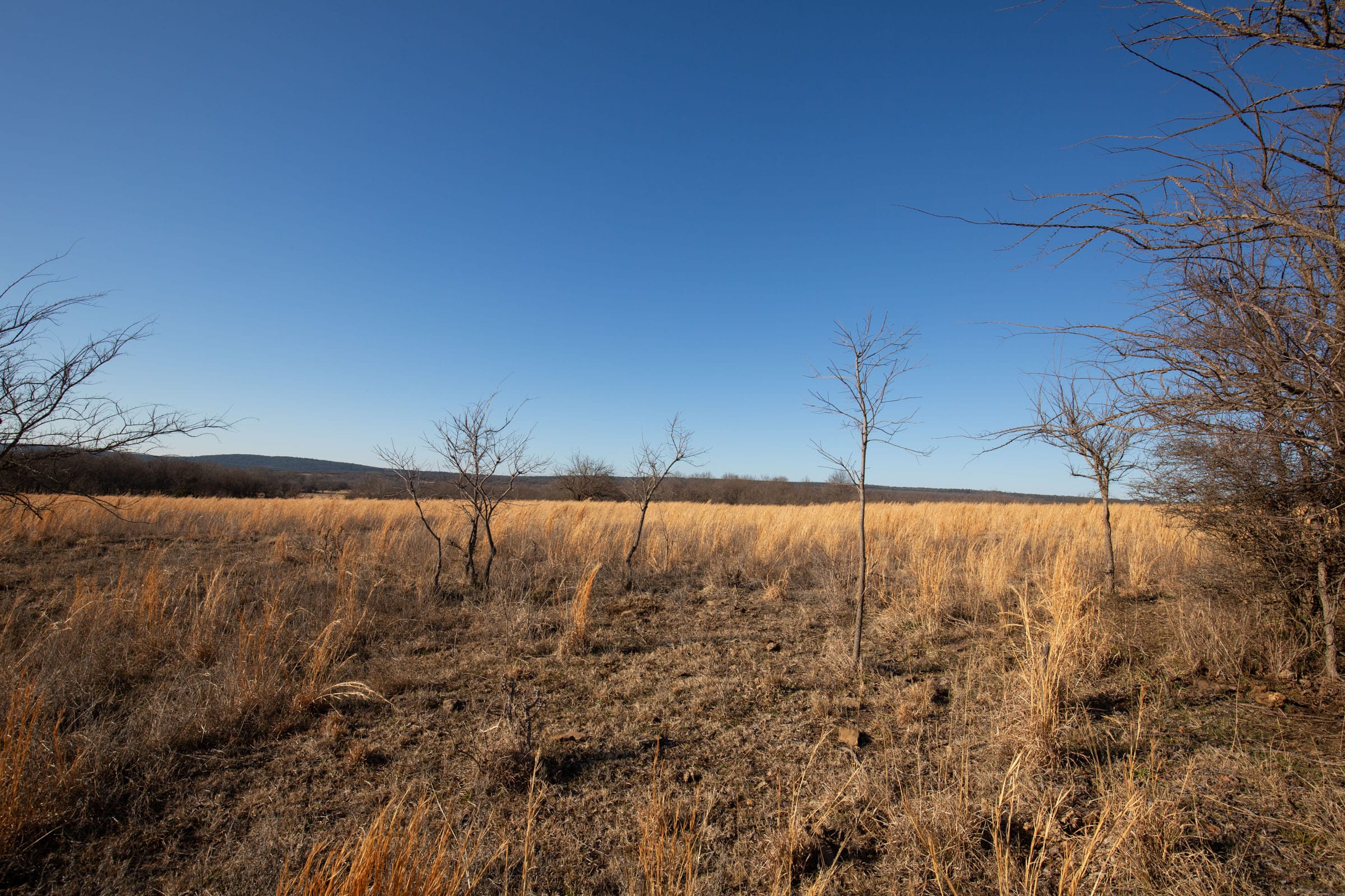 Painted Horse Tract 50 photo 8