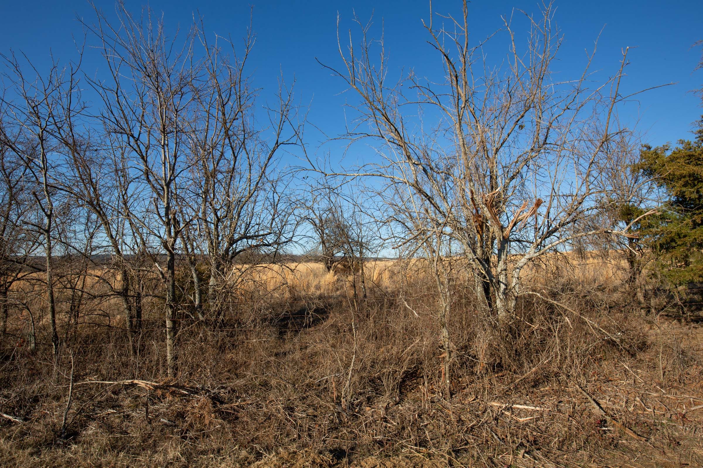Painted Horse Tract 50 photo 10