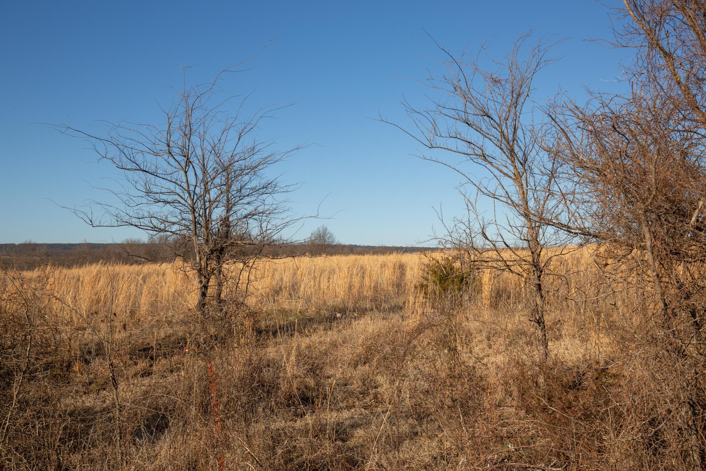 Painted Horse Tract 50 photo 11
