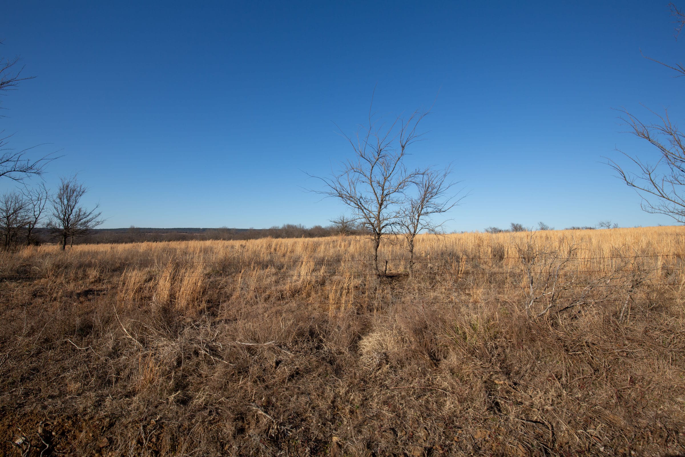 Painted Horse Tract 50 photo 12