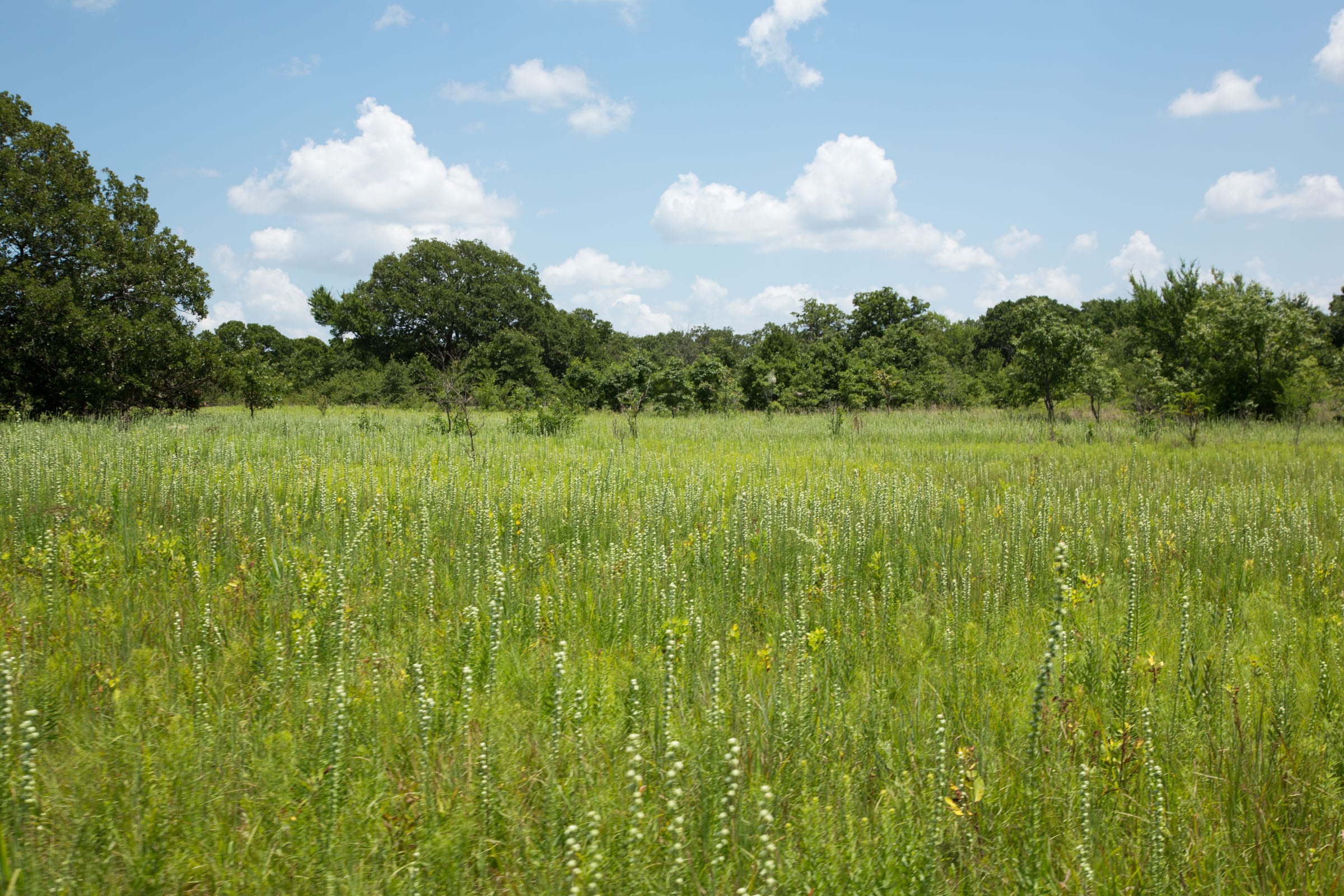 Deep Fork Ranch Tract 26 photo 3