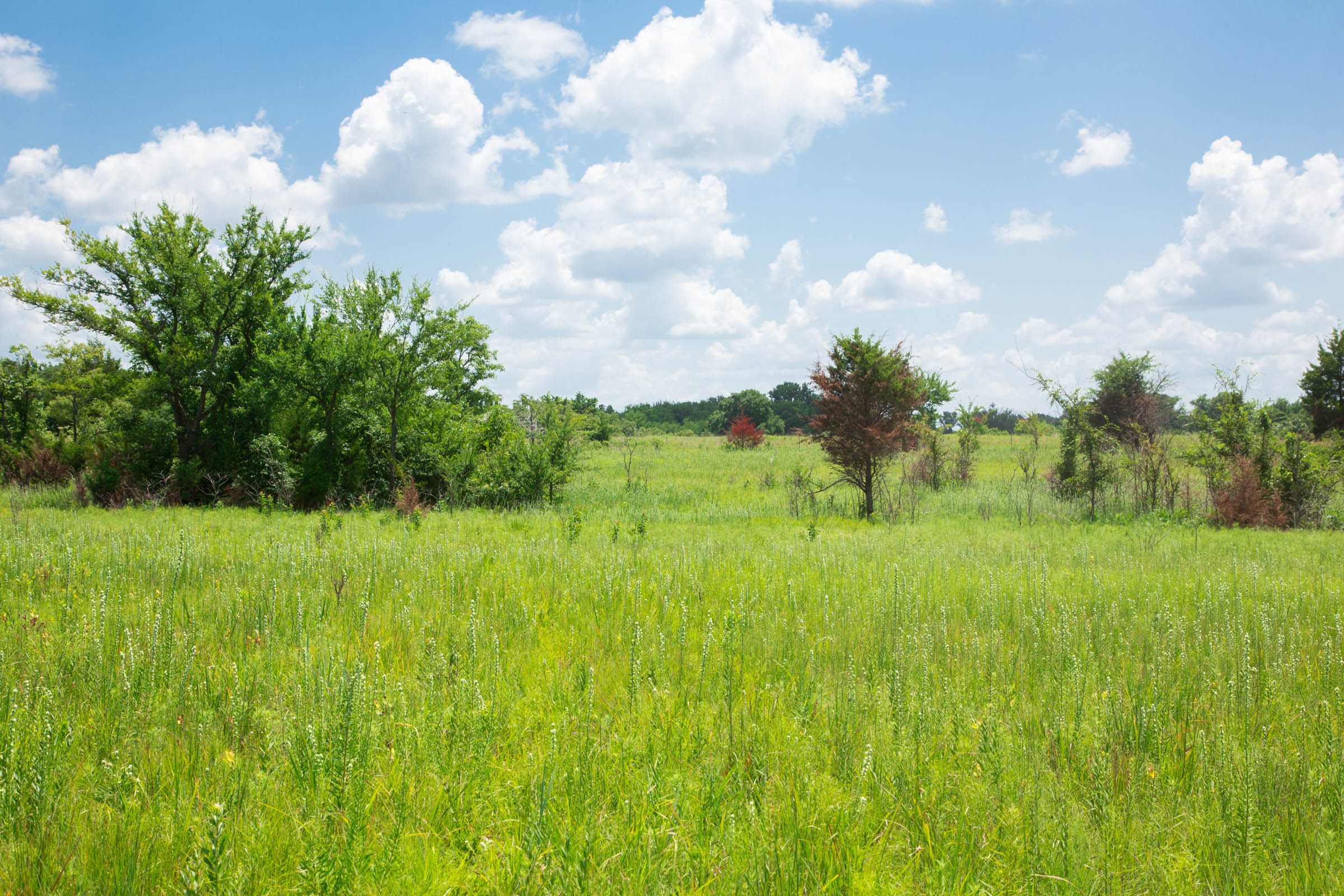 Deep Fork Ranch Tract 26 photo 4