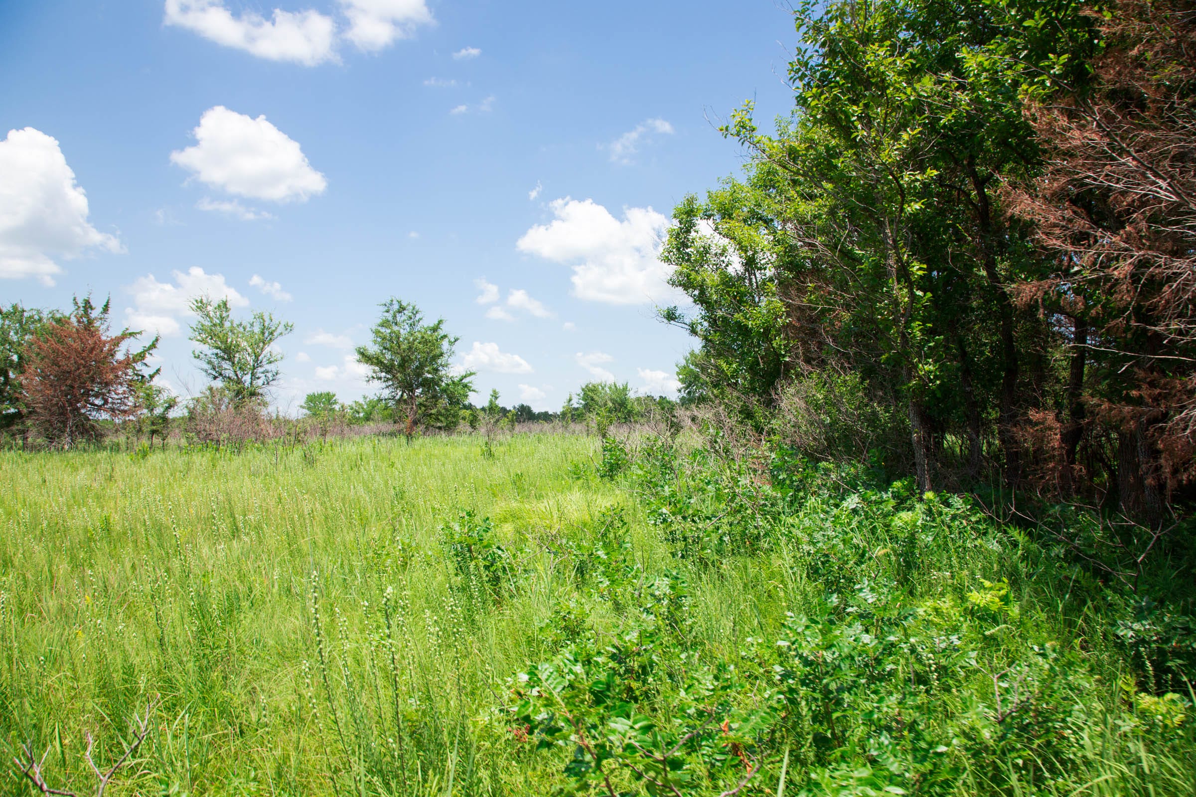 Deep Fork Ranch Tract 26 photo 5