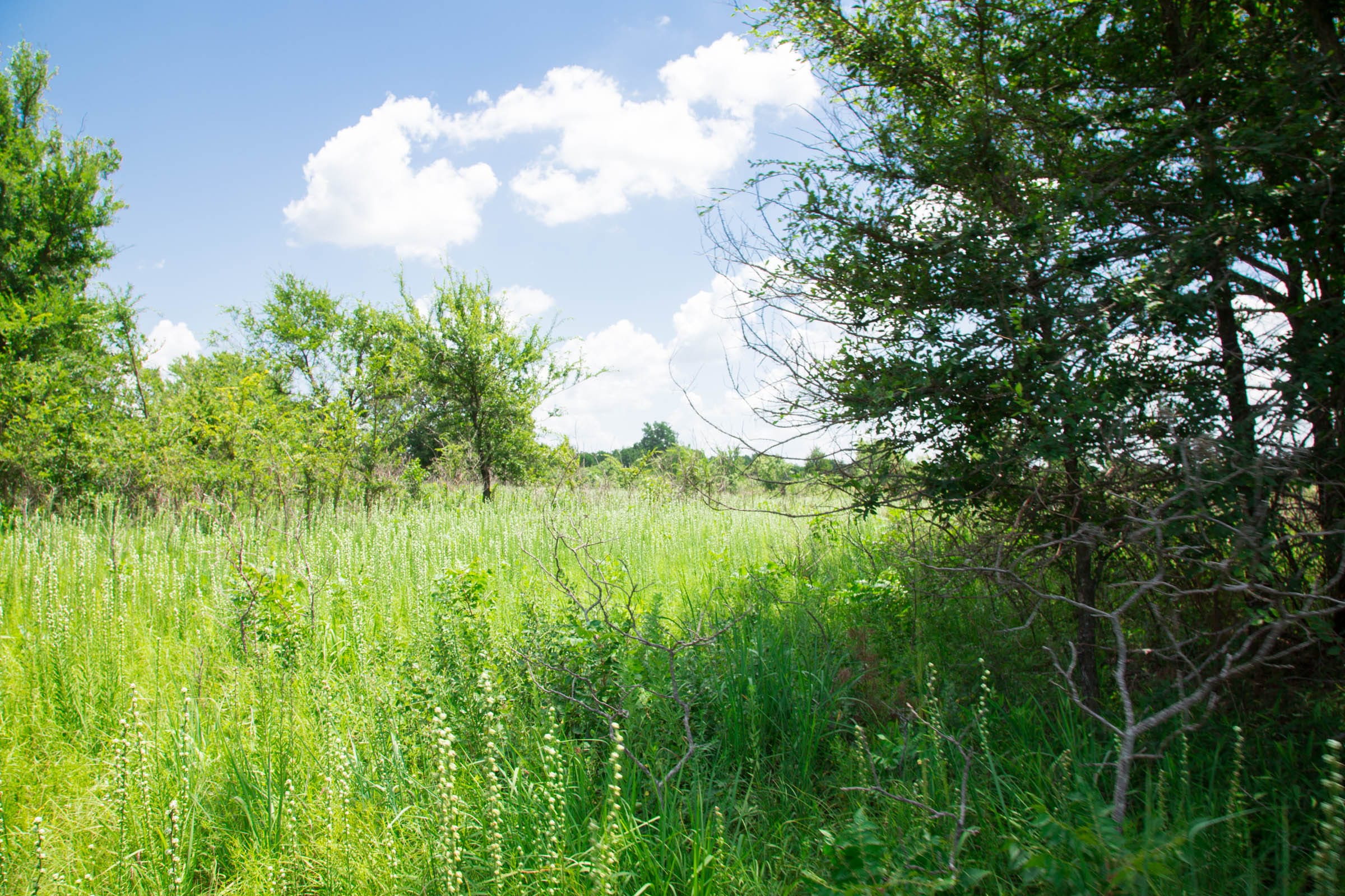 Deep Fork Ranch Tract 26 photo 8