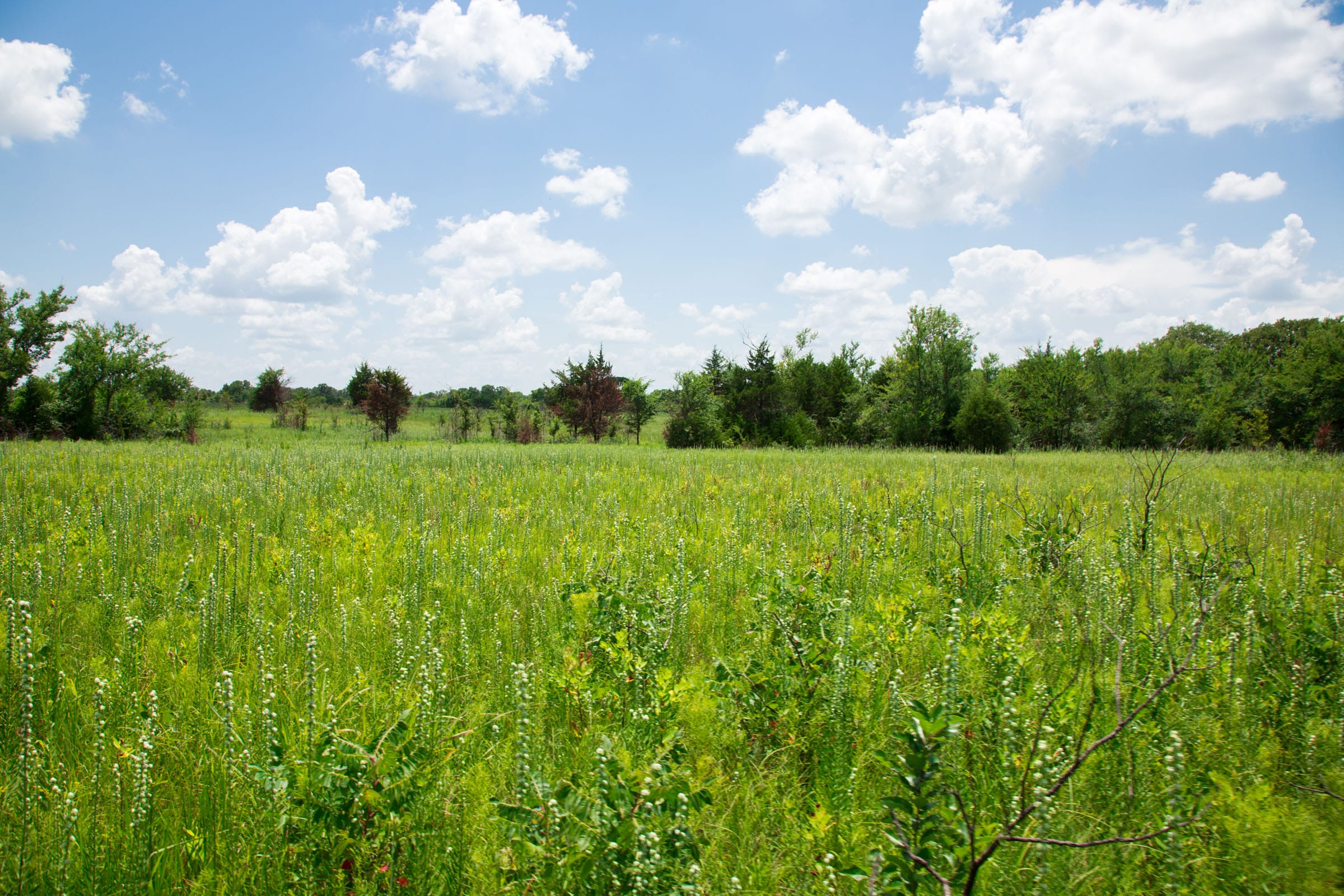 Deep Fork Ranch Tract 26 photo 10
