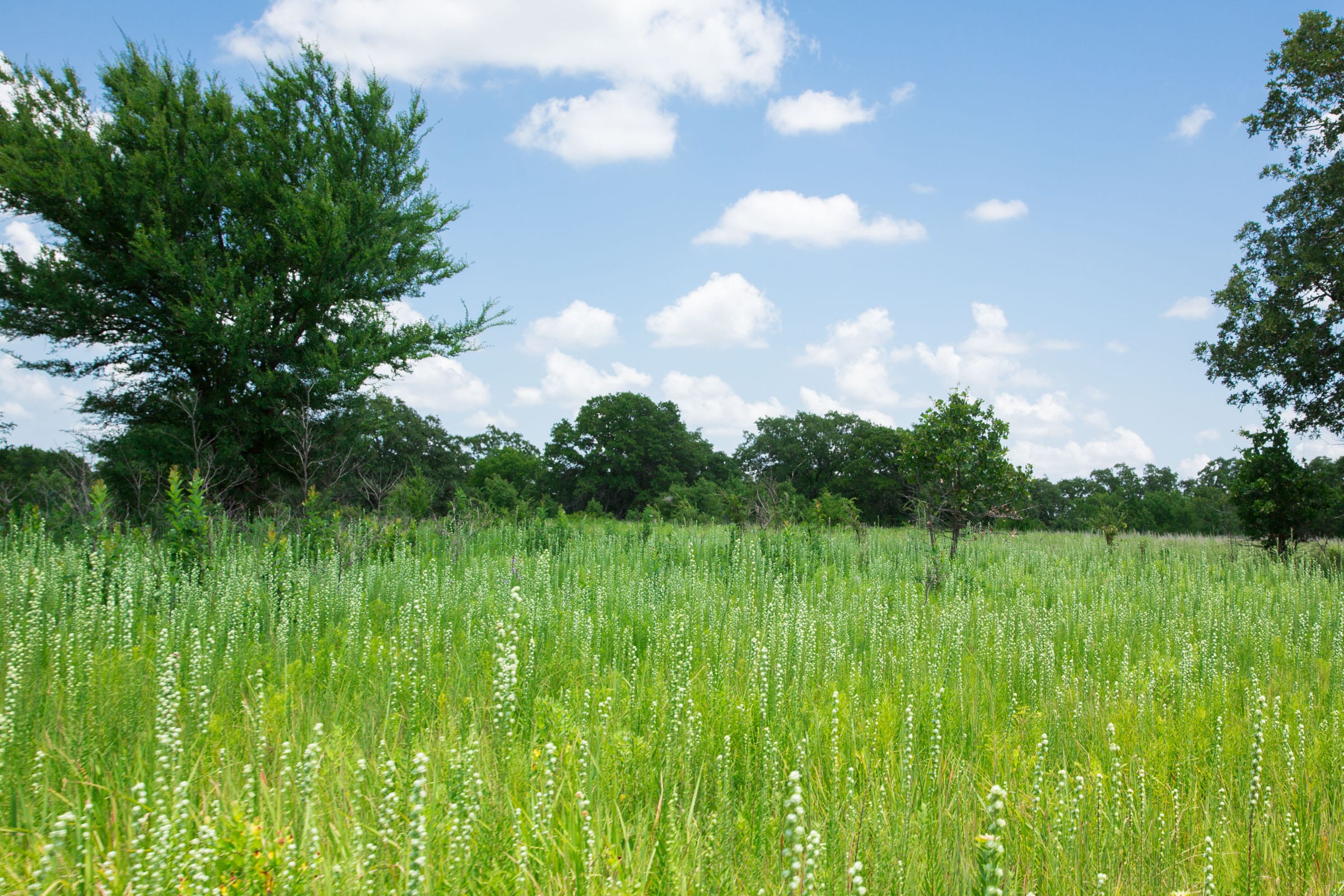Deep Fork Ranch Tract 26 photo 11