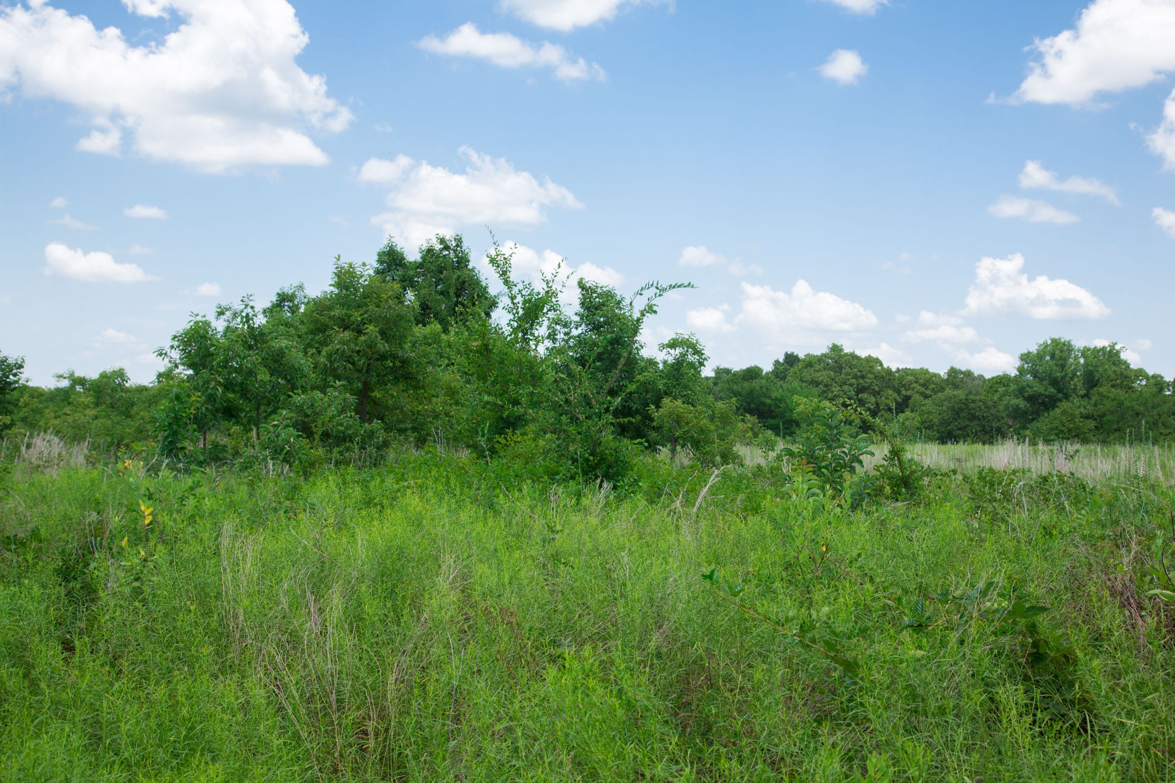 Deep Fork Ranch Tract 26 photo 12