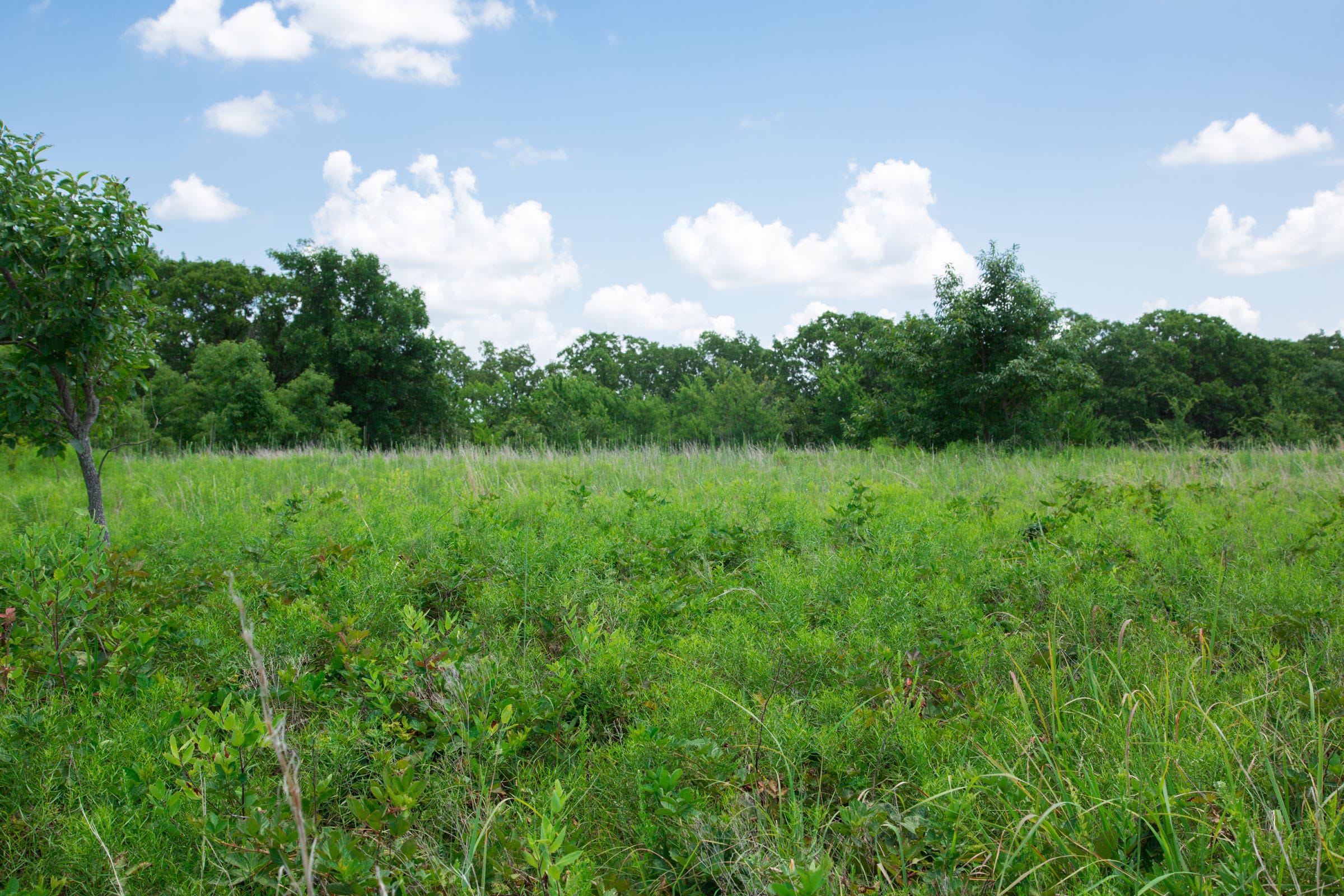 Deep Fork Ranch Tract 26 photo 13