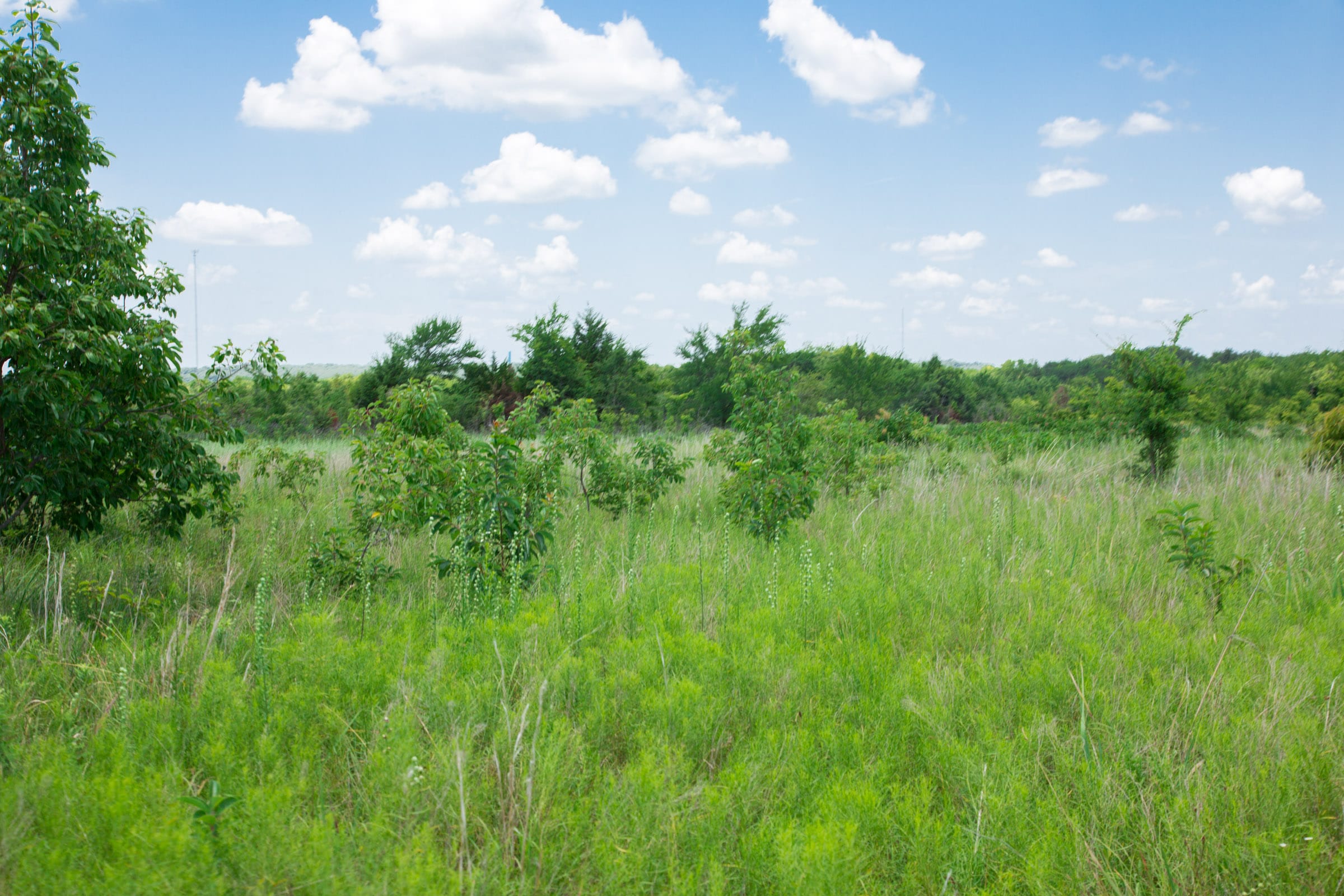 Deep Fork Ranch Tract 26 photo 14