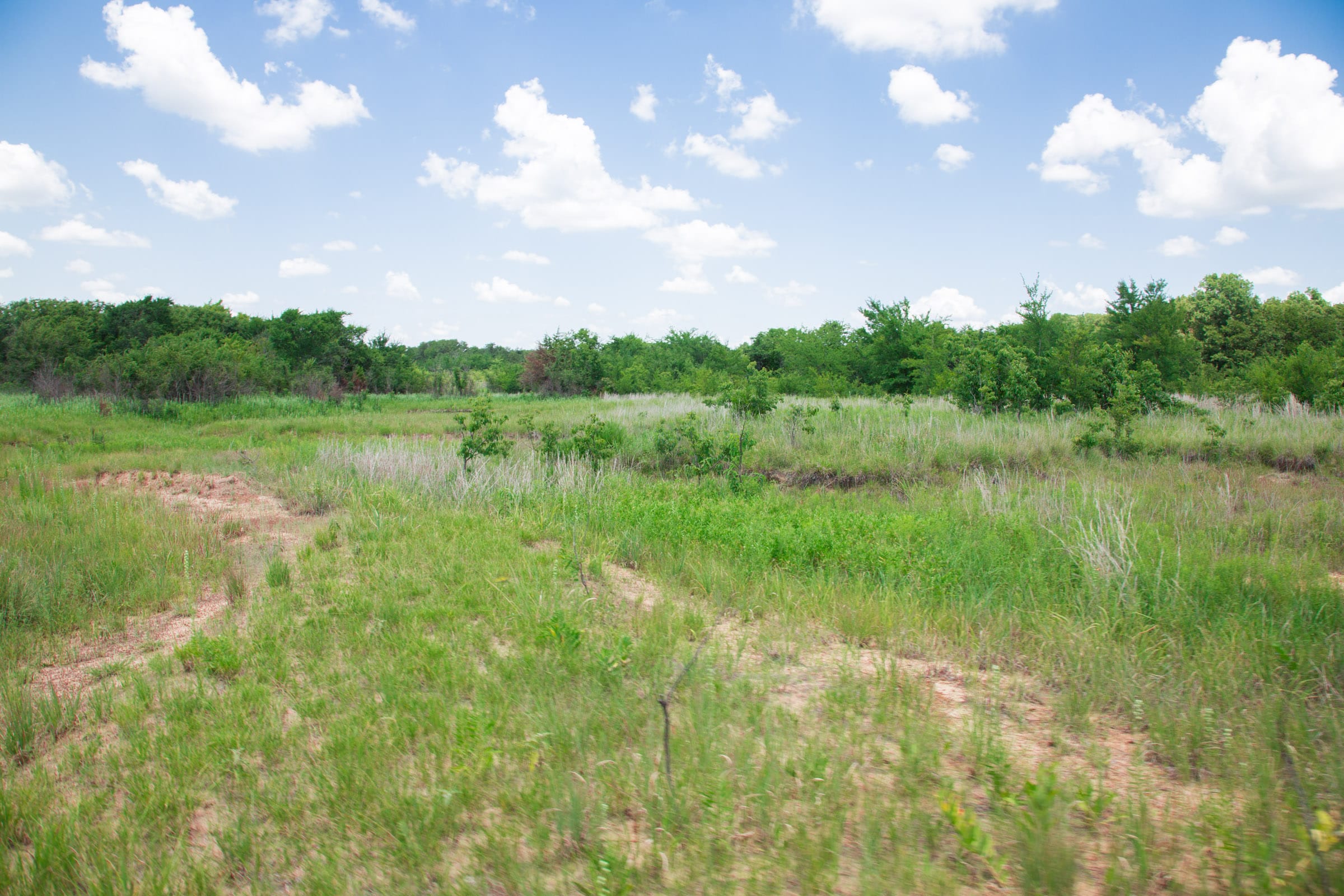 Deep Fork Ranch Tract 26 photo 15