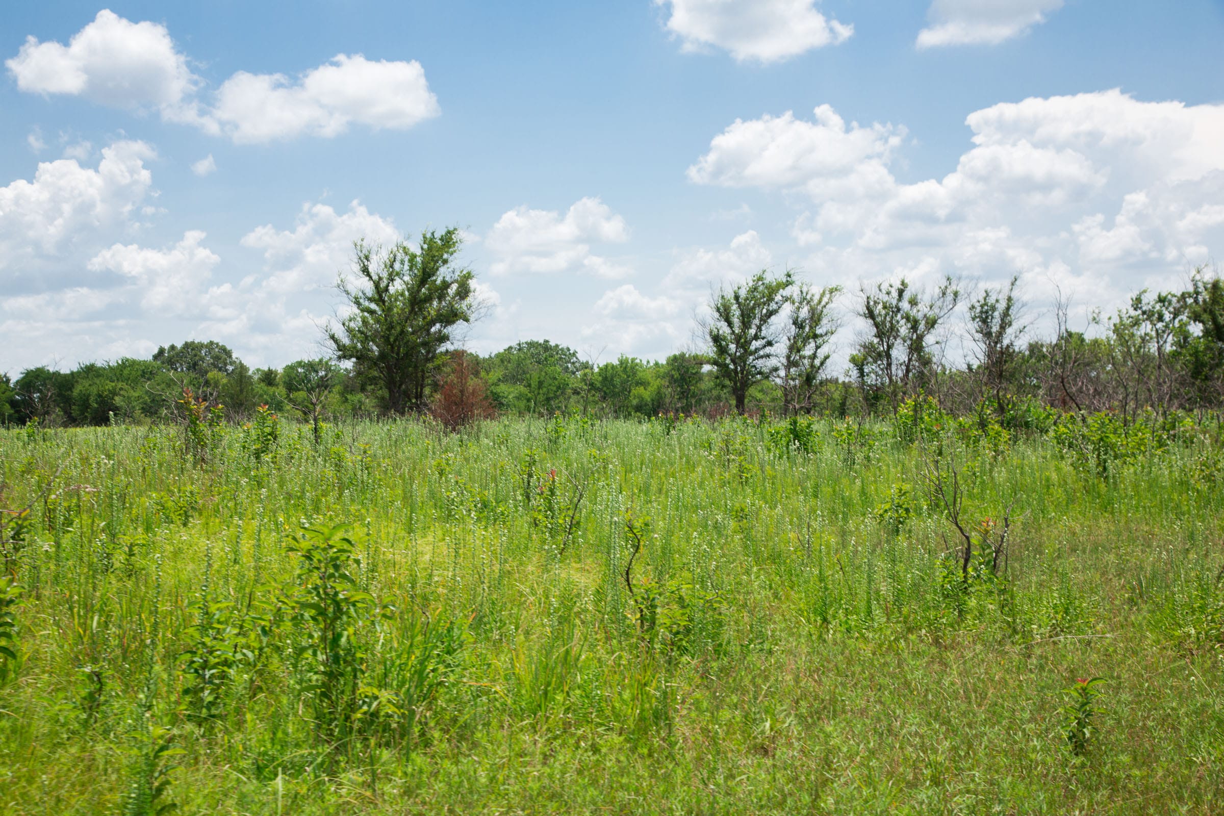Deep Fork Ranch Tract 26 photo 16
