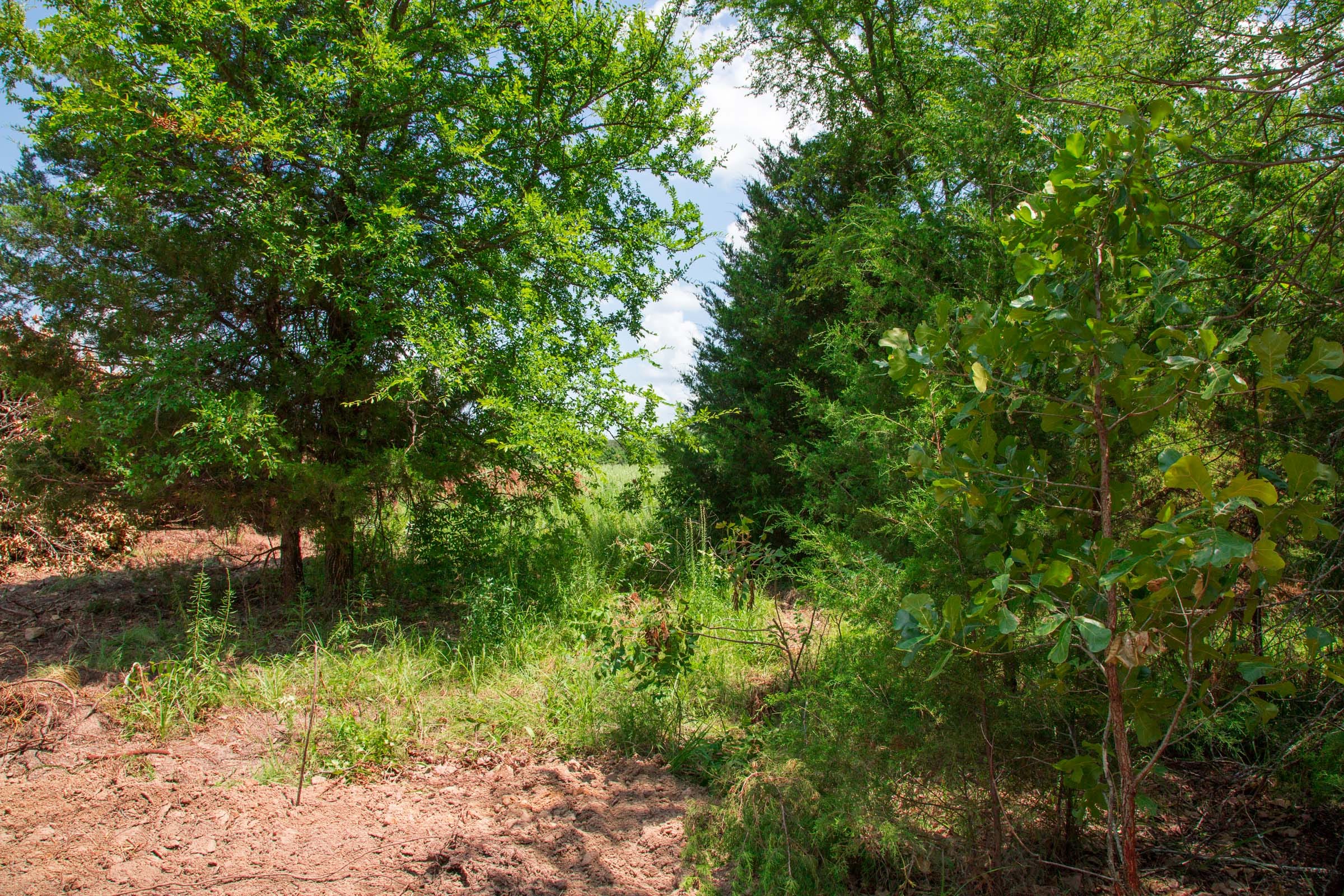 Deep Fork Ranch Tract 26 photo 18