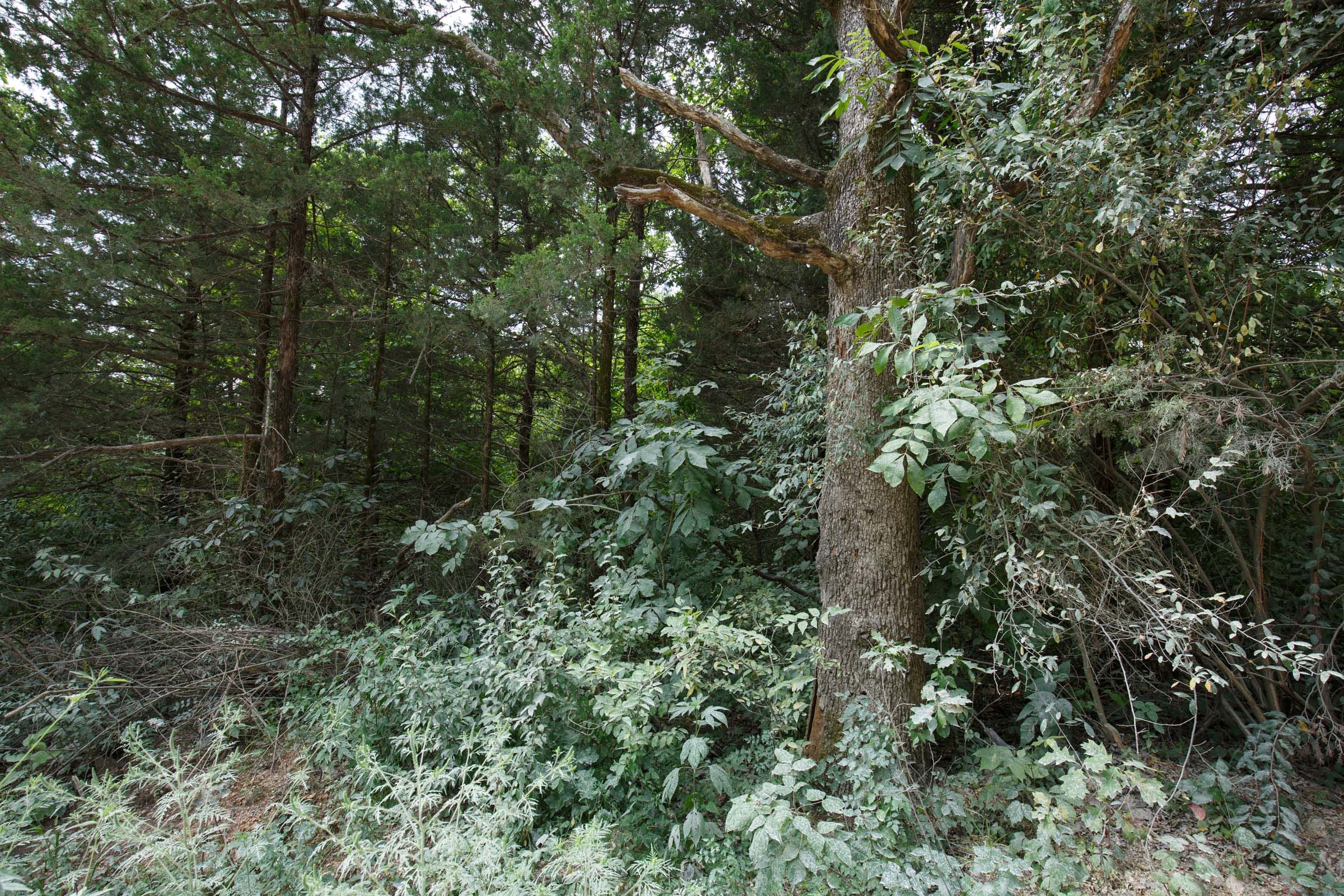 Spring Lake Plat 2 Tract 77 photo 4