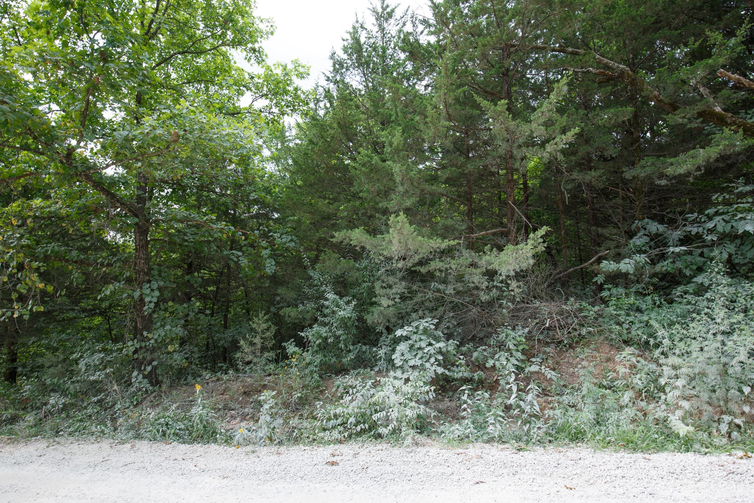 Spring Lake Plat 2 Tract 77 photo 5