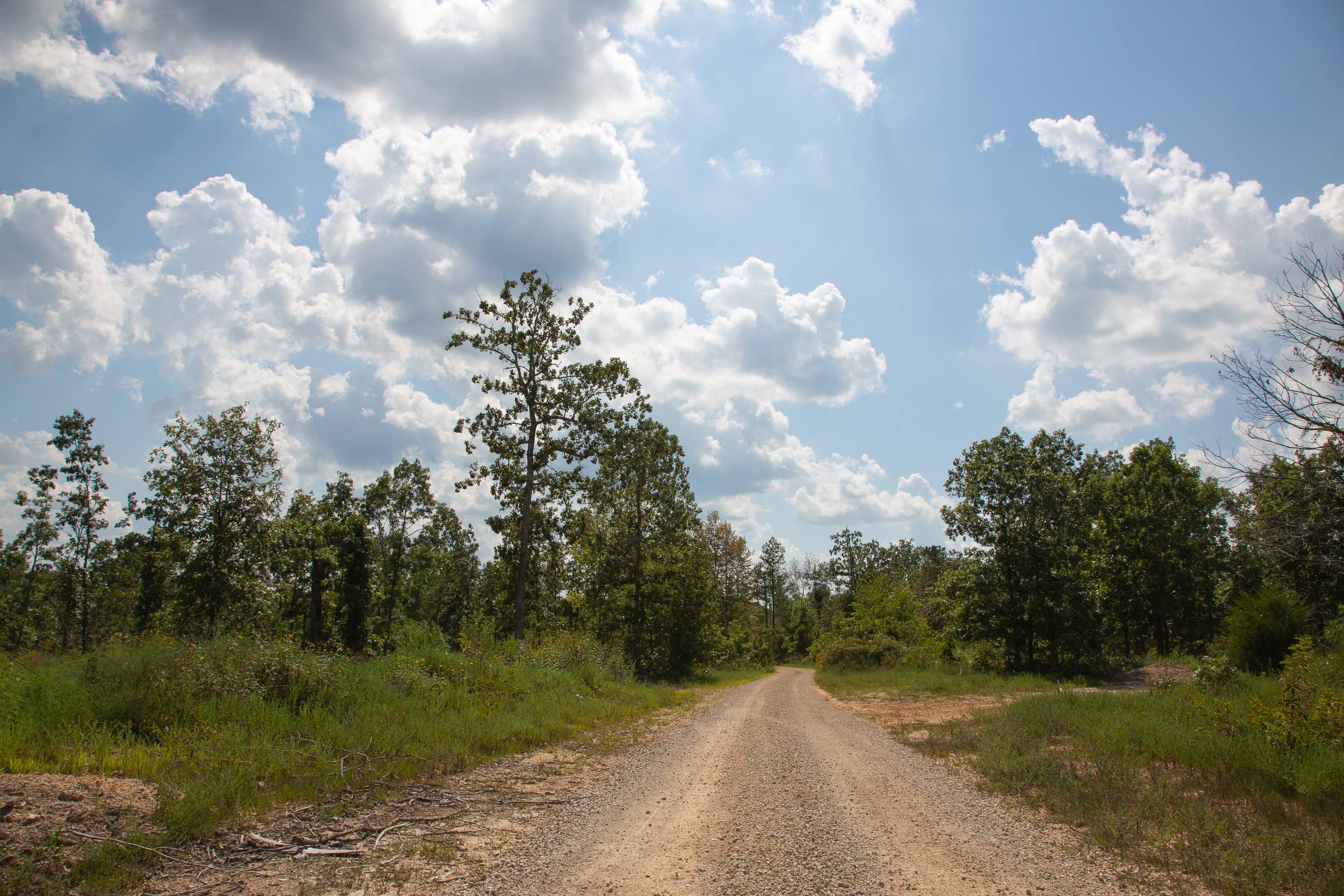 Borgmann’s Hollow Phase I Tract 17 photo 1