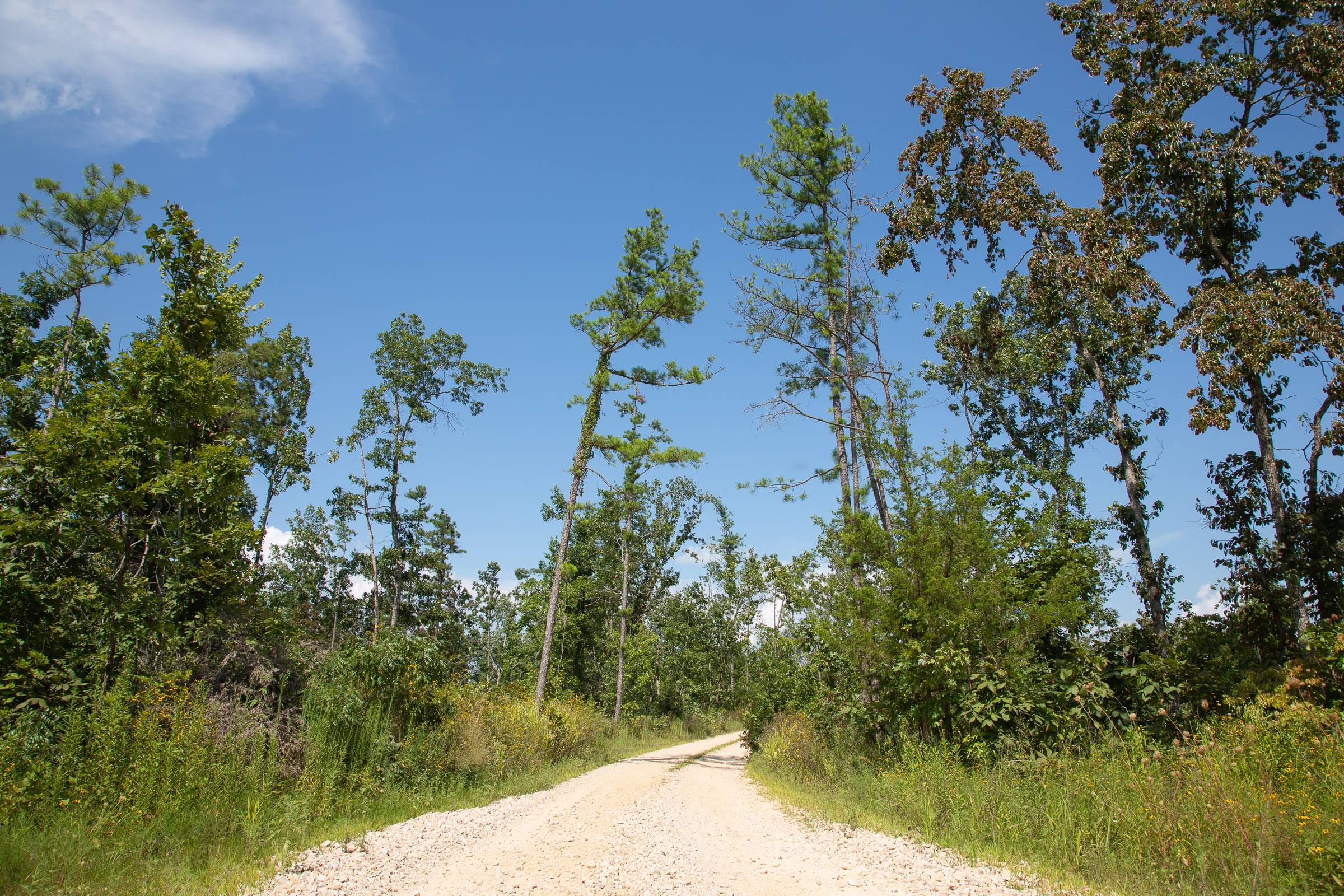Borgmann’s Hollow Phase I Tract 17 photo 16