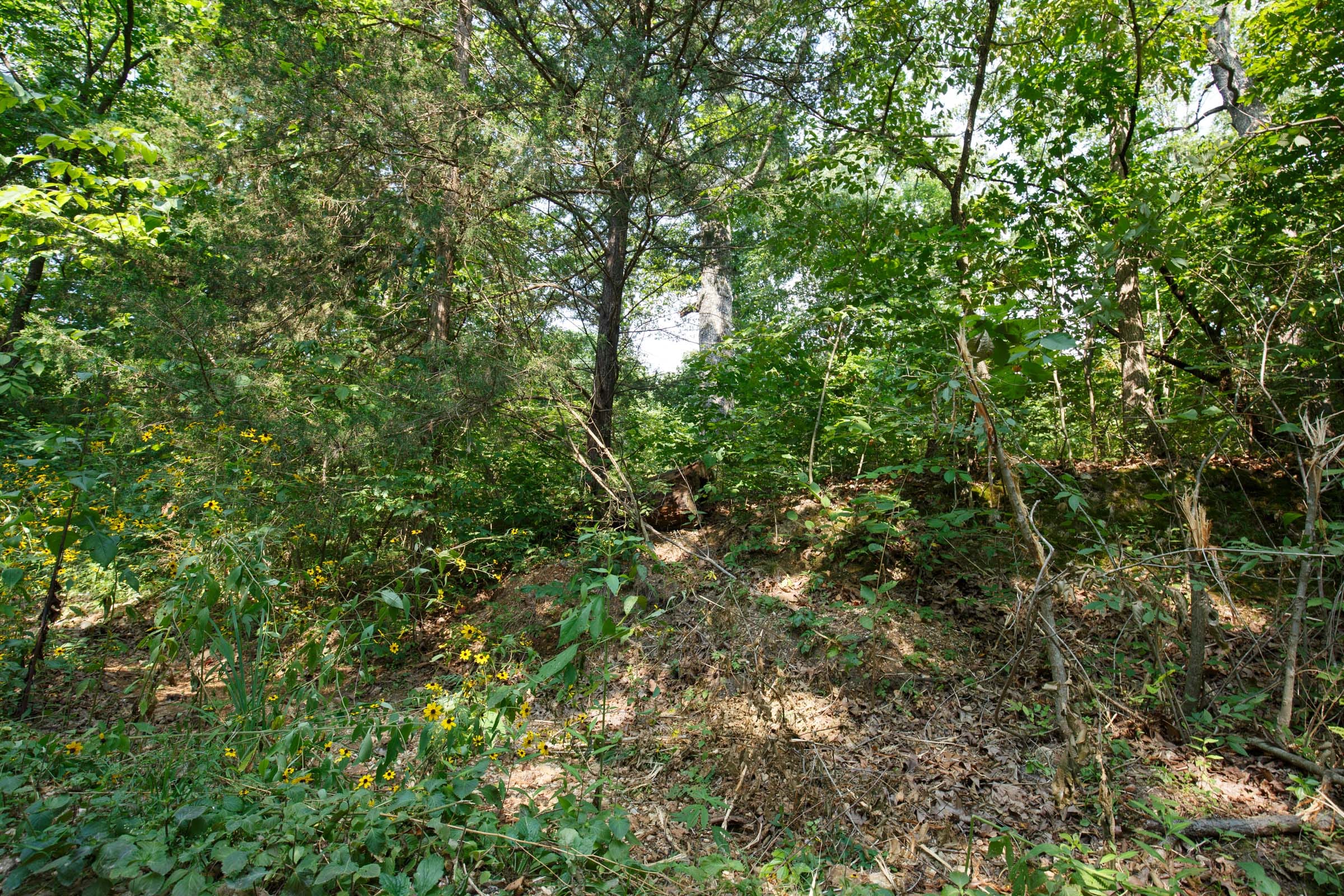 Spring Lake Plat 2 Tract 10 photo 2