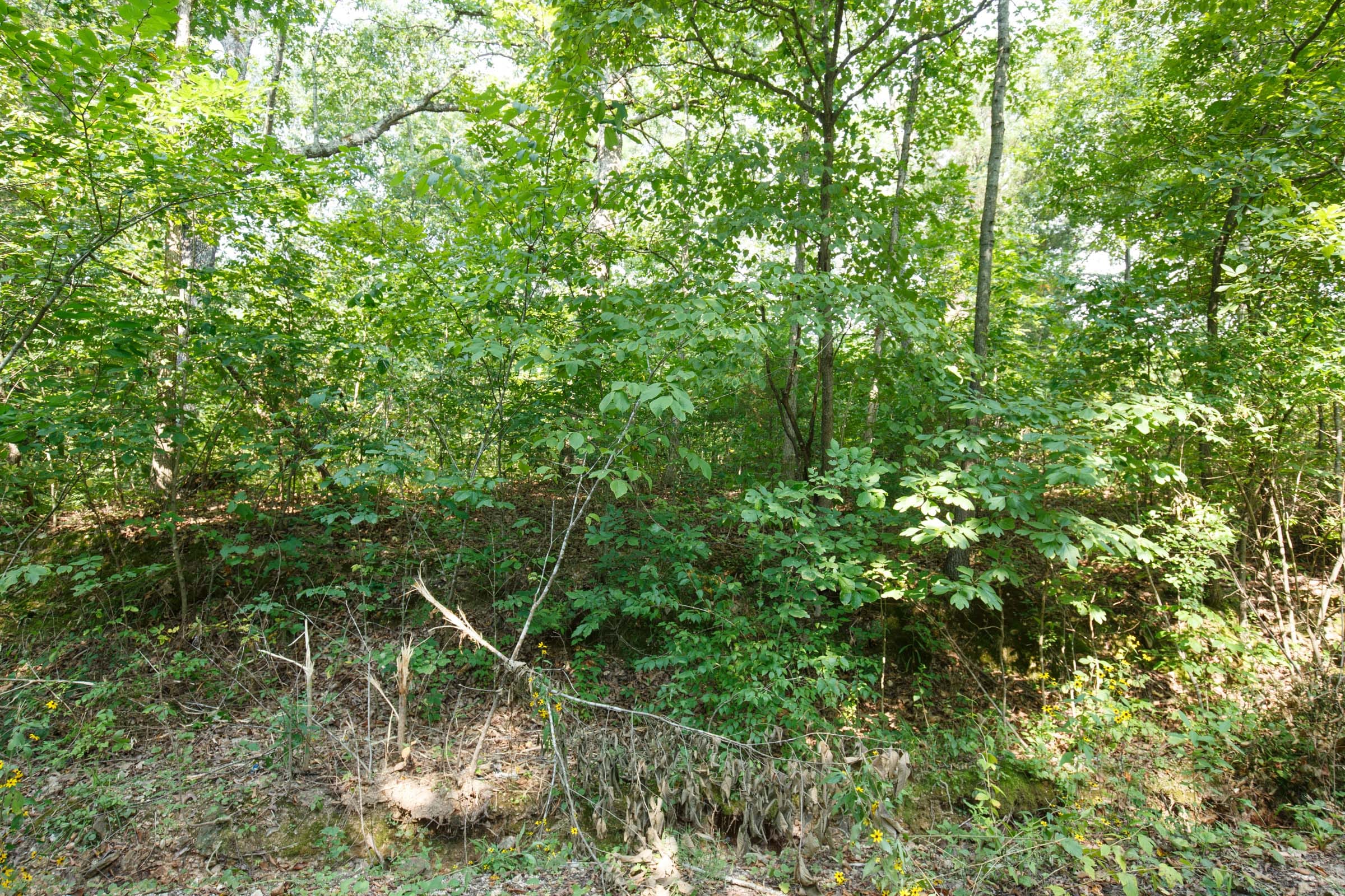 Spring Lake Plat 2 Tract 10 photo 3