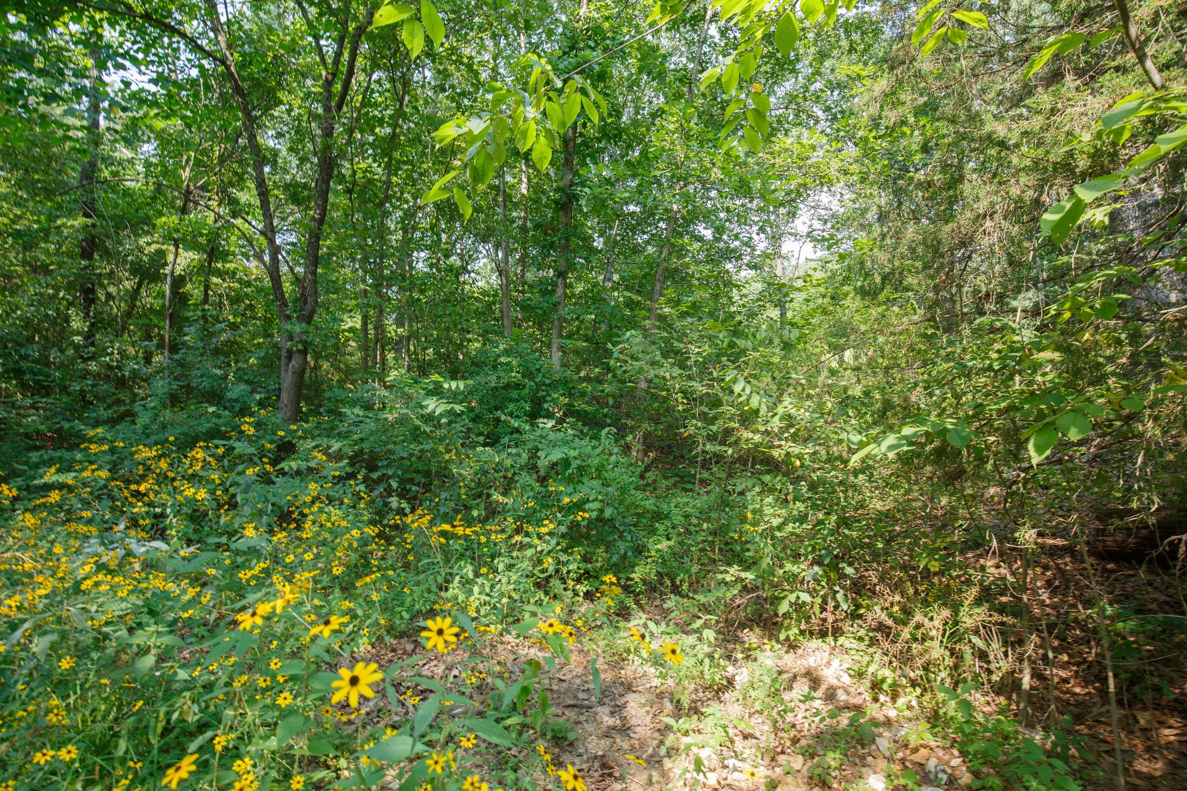 Spring Lake Plat 2 Tract 10 photo 4