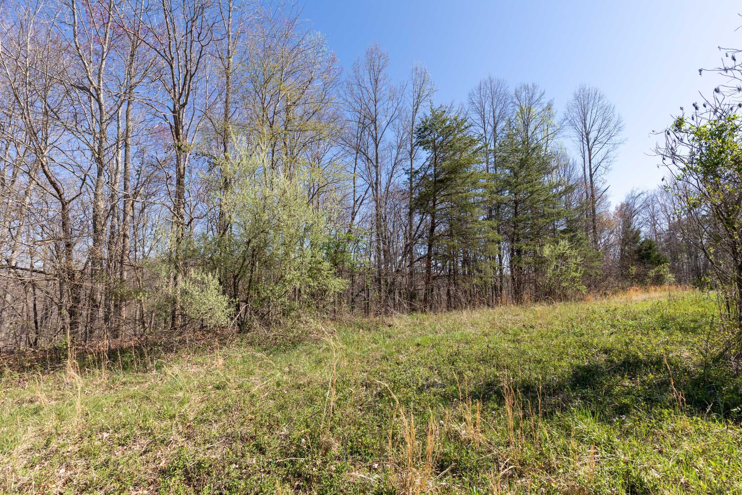 Woodland Heights Tract 3 photo 4