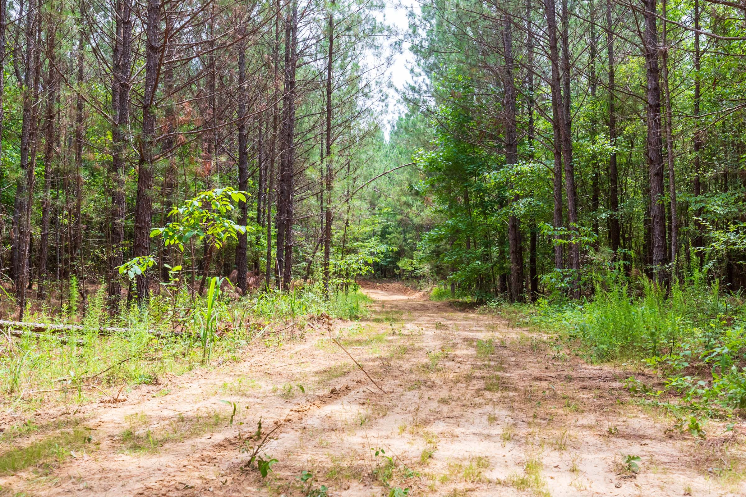 Whiskey Ridge Tract 107 photo 1