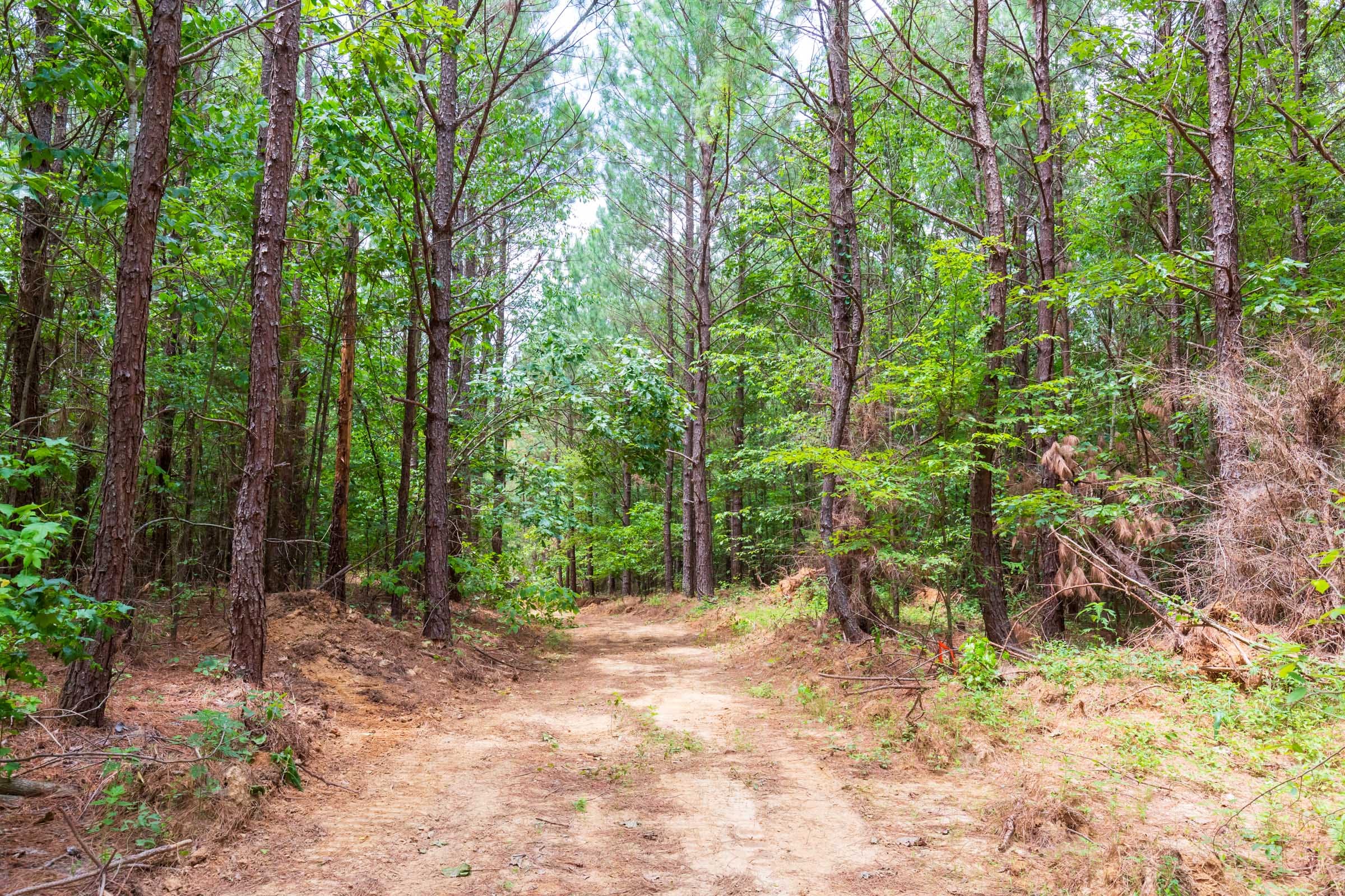 Whiskey Ridge Tract 107 photo 11