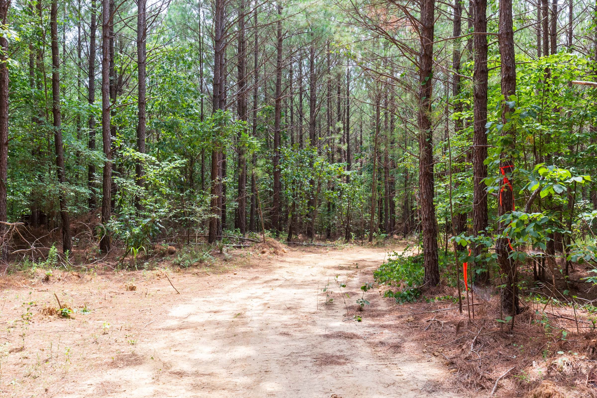 Whiskey Ridge Tract 107 photo 20
