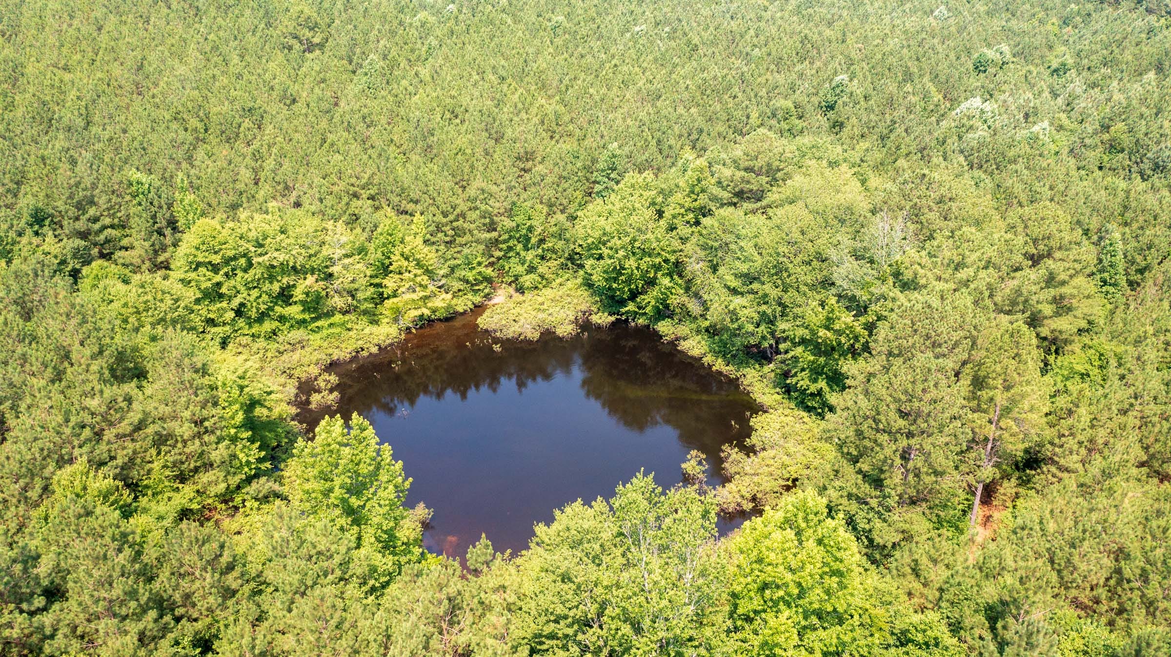 Whiskey Ridge Tract 107 photo 6