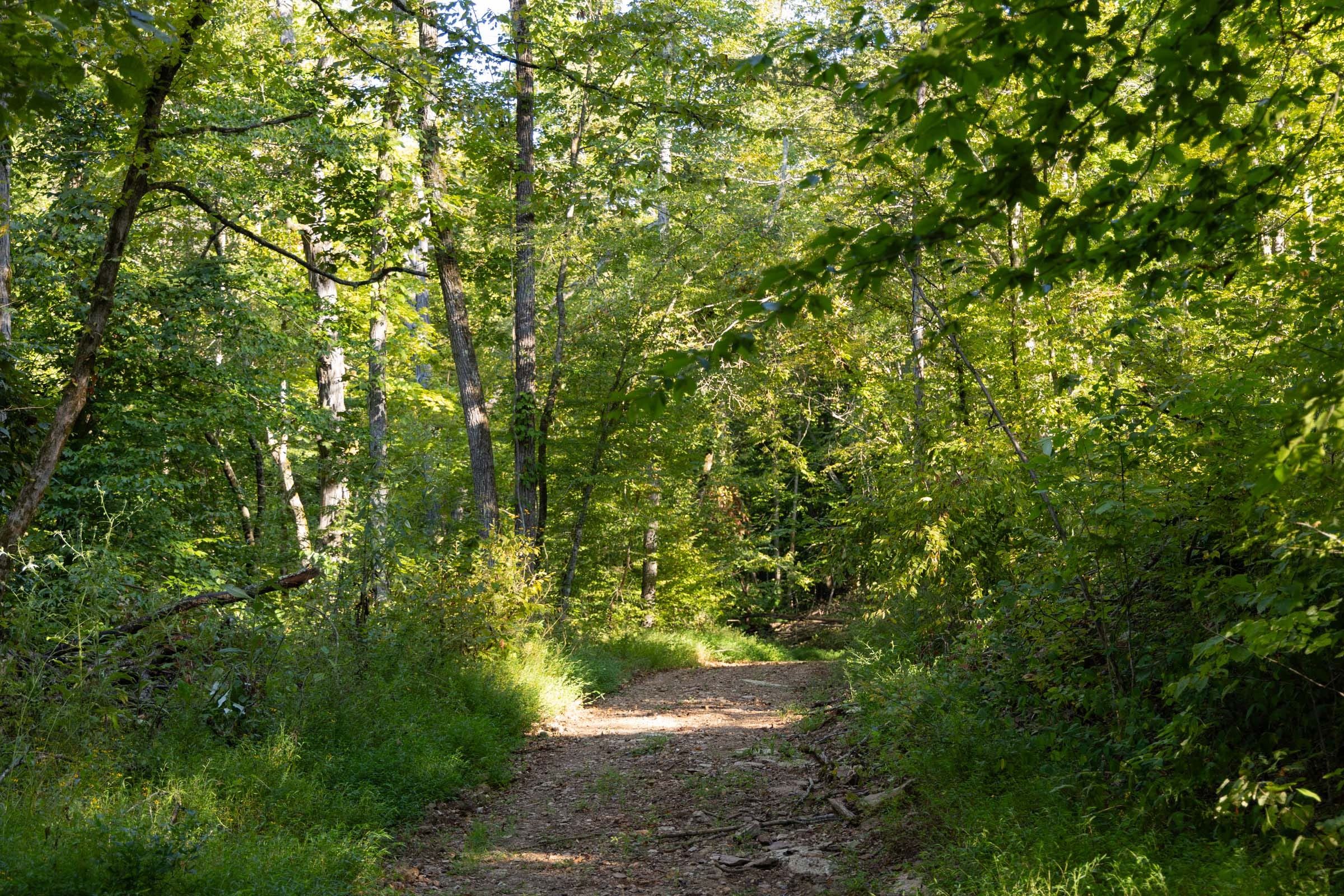 Big White Oak Tract 86 photo 15